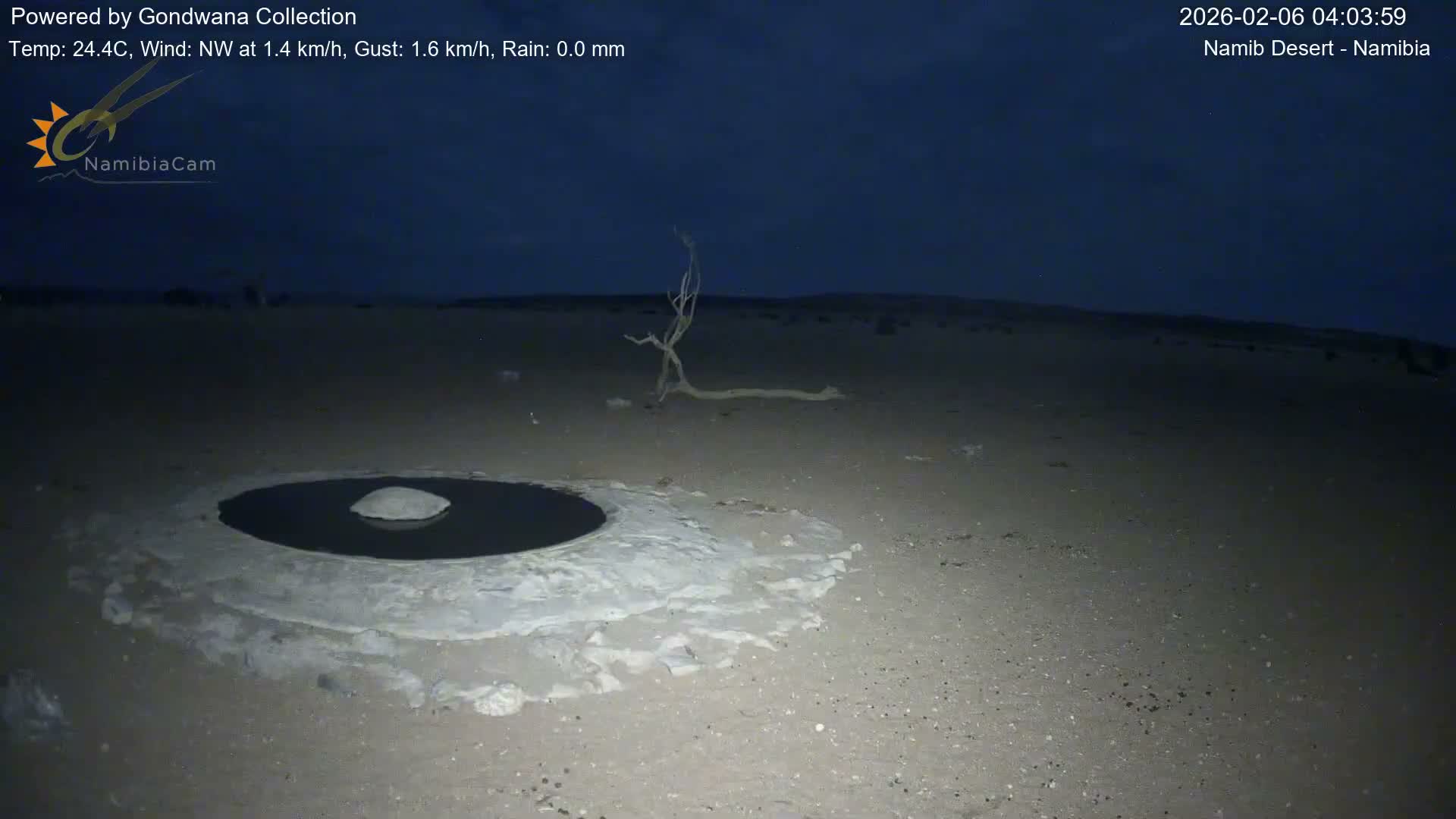Wild Life in Namib Desert Naukluft National Park Live Cam - Maltahohe, Hardap,  Namibia