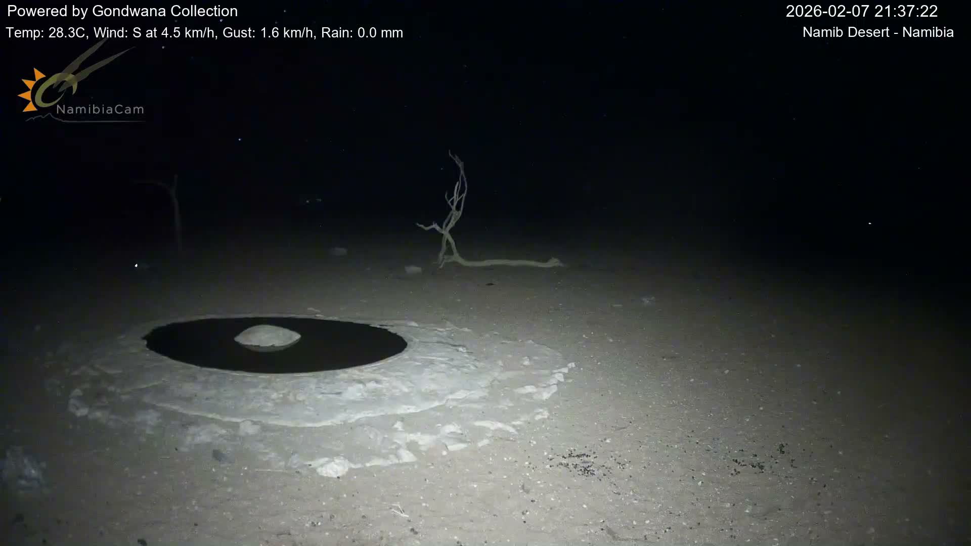Wild Life in Namib Desert Naukluft National Park Live Cam - Maltahohe, Hardap,  Namibia