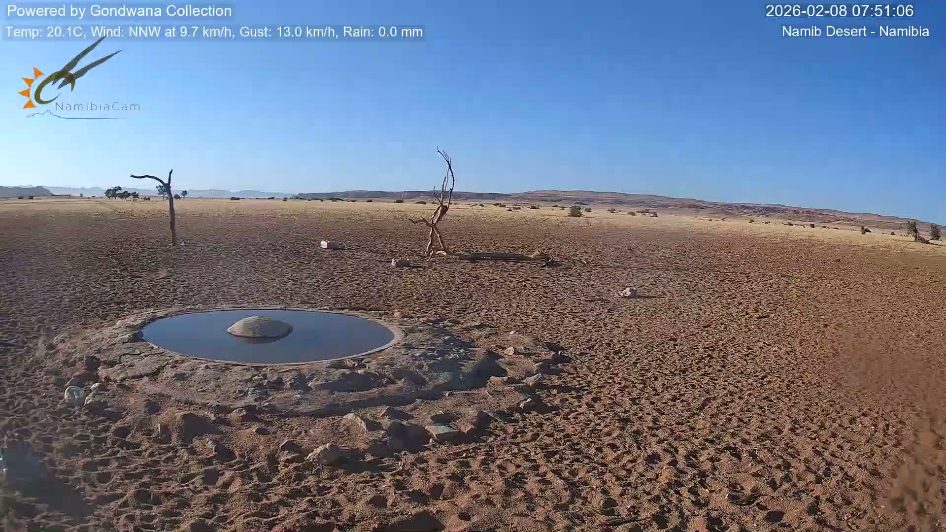 Wild Life in Namib Desert Naukluft National Park Live Cam - Maltahohe, Hardap,  Namibia
