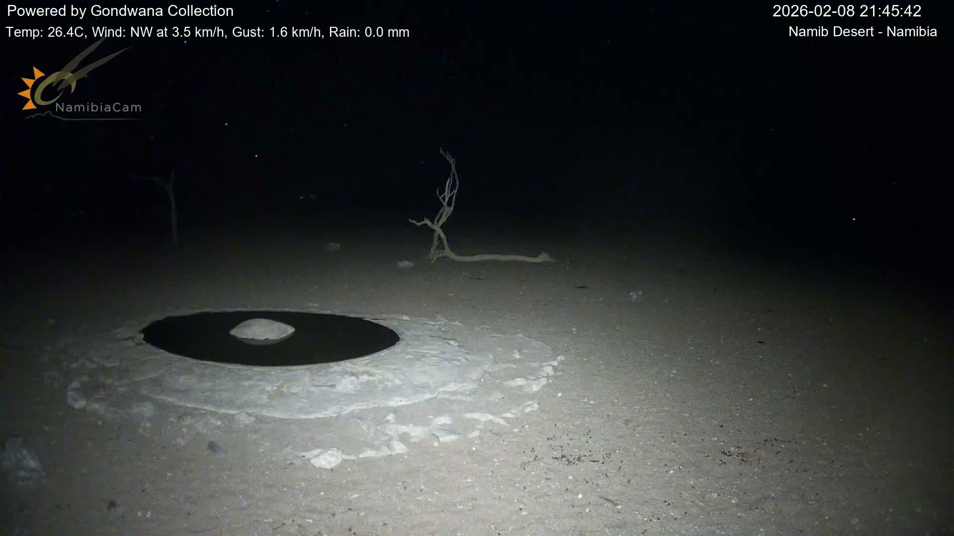 Wild Life in Namib Desert Naukluft National Park Live Cam - Maltahohe, Hardap,  Namibia
