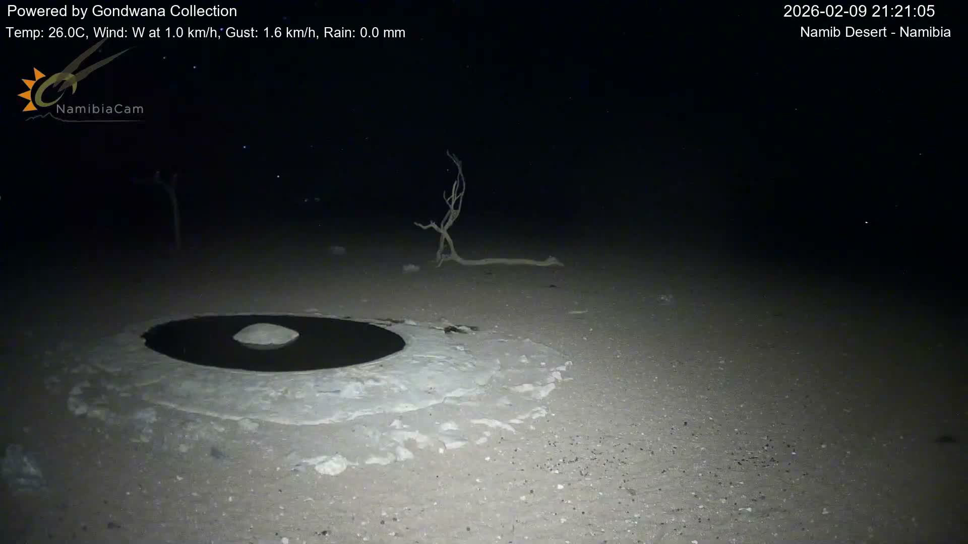 Wild Life in Namib Desert Naukluft National Park Live Cam - Maltahohe, Hardap,  Namibia