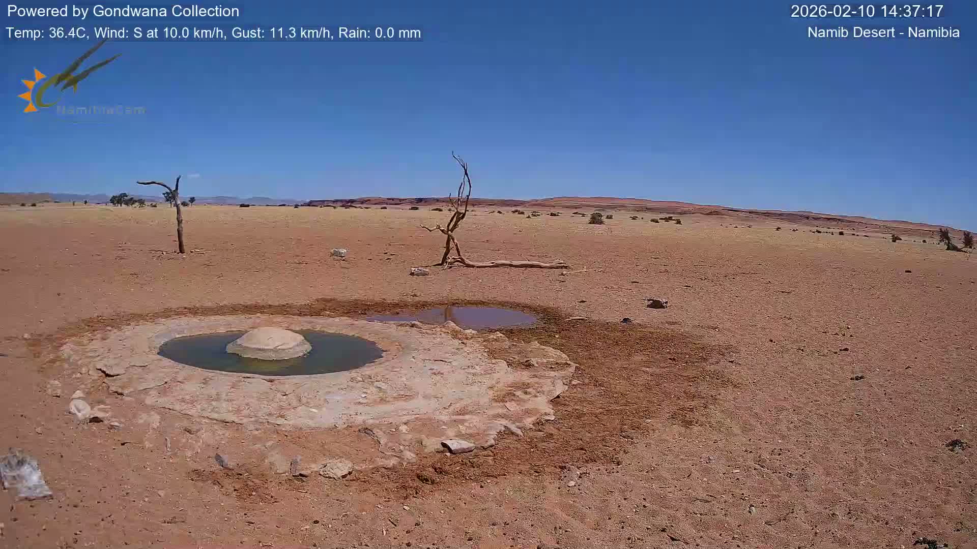 Wild Life in Namib Desert Naukluft National Park Live Cam - Maltahohe, Hardap,  Namibia