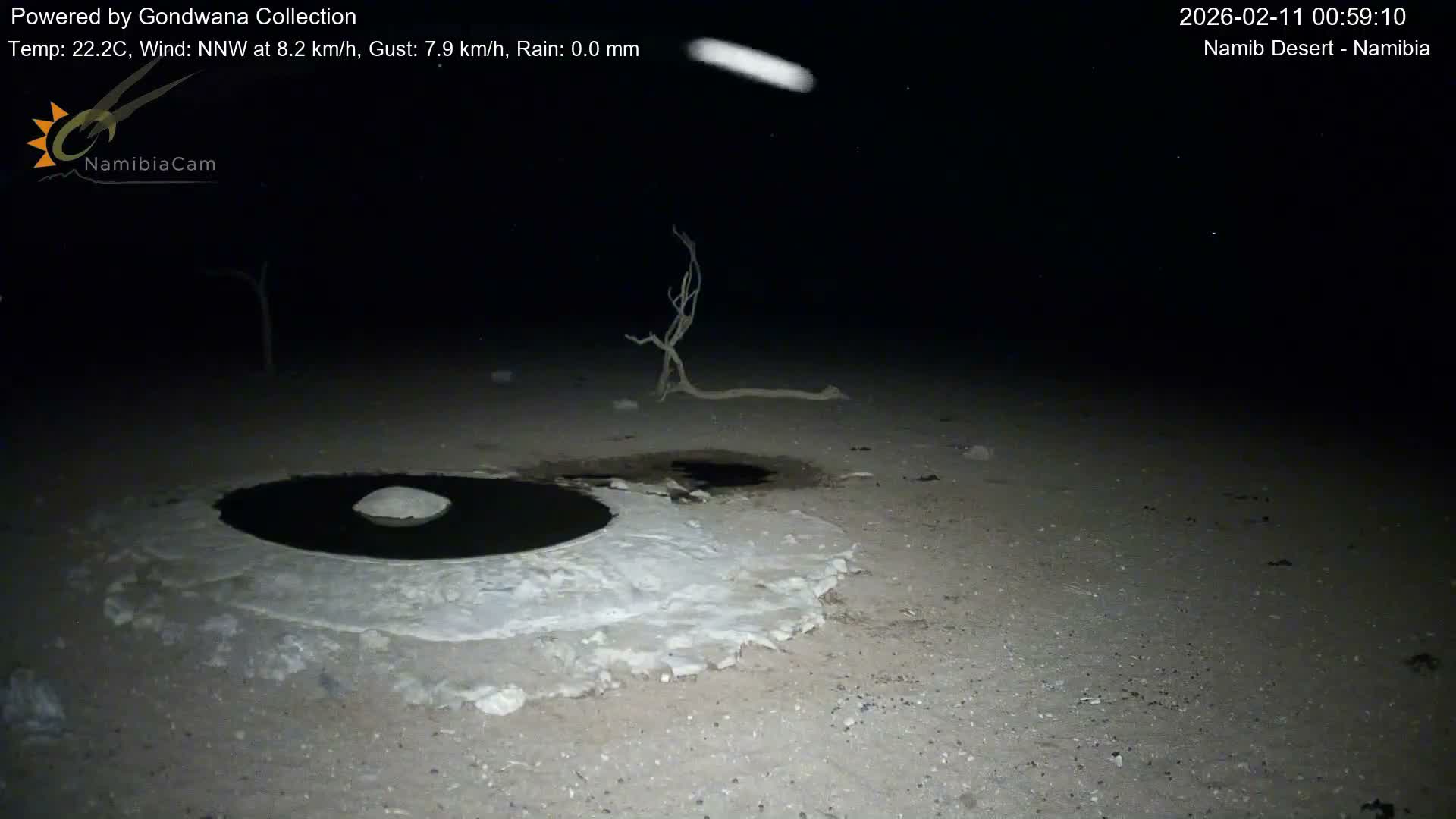 Wild Life in Namib Desert Naukluft National Park Live Cam - Maltahohe, Hardap,  Namibia