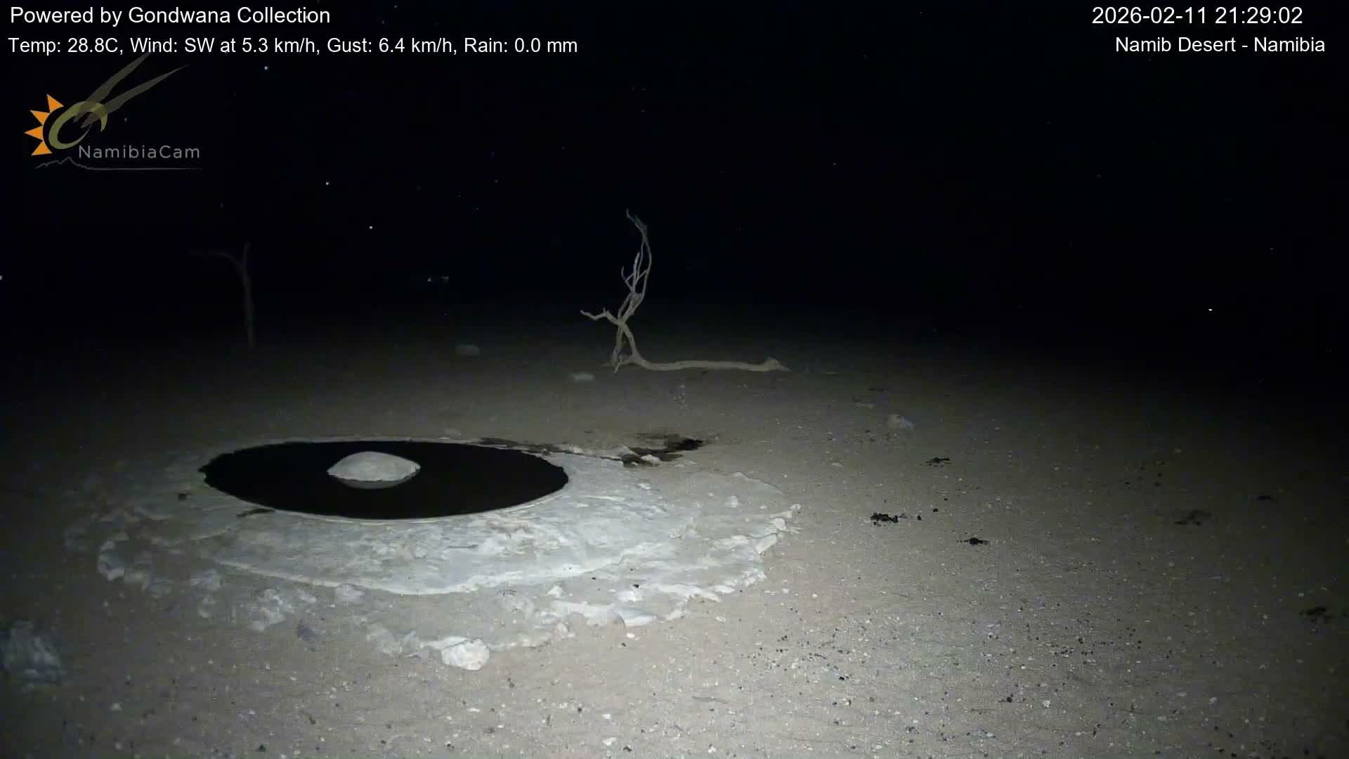 Wild Life in Namib Desert Naukluft National Park Live Cam - Maltahohe, Hardap,  Namibia