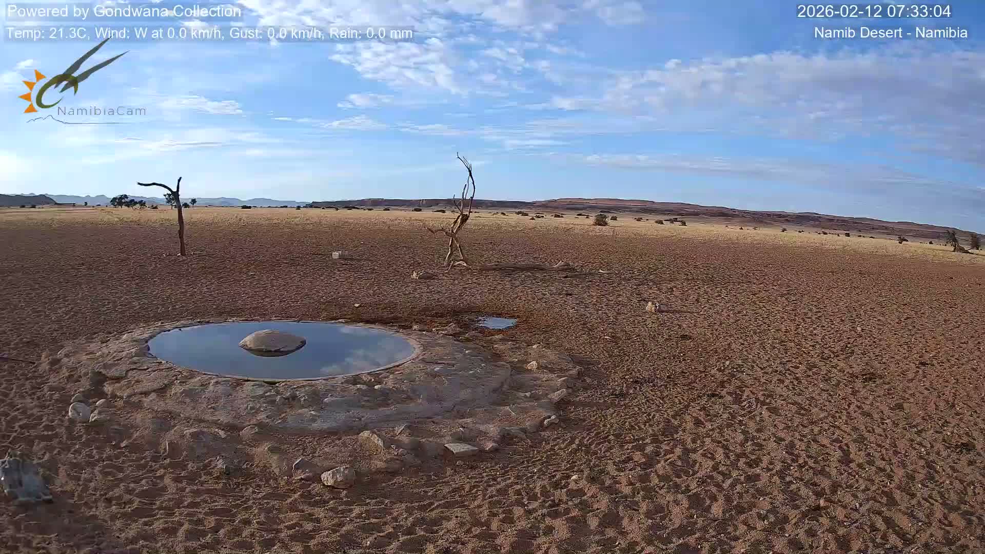 Wild Life in Namib Desert Naukluft National Park Live Cam - Maltahohe, Hardap,  Namibia