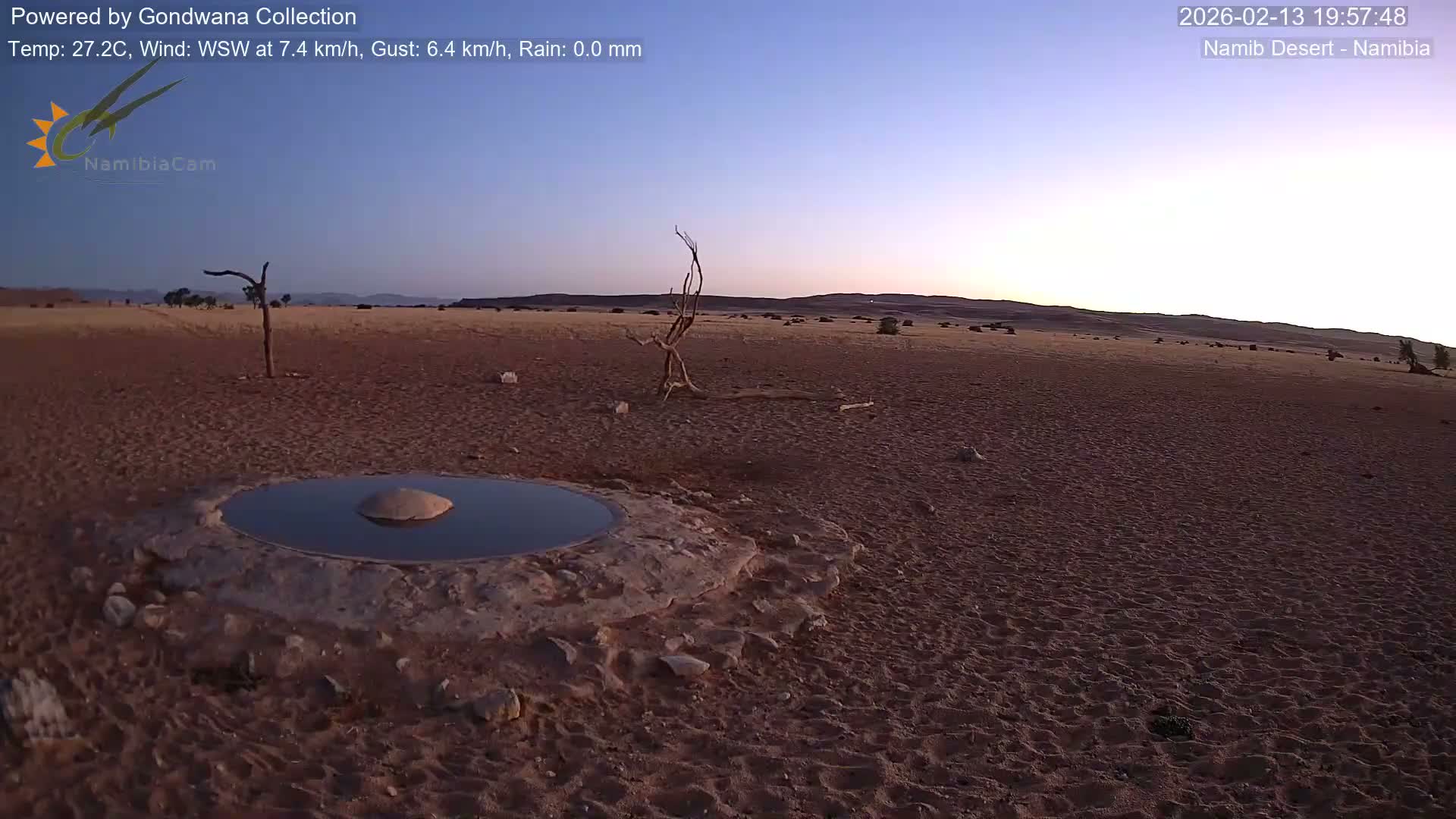 Wild Life in Namib Desert Naukluft National Park Live Cam - Maltahohe, Hardap,  Namibia