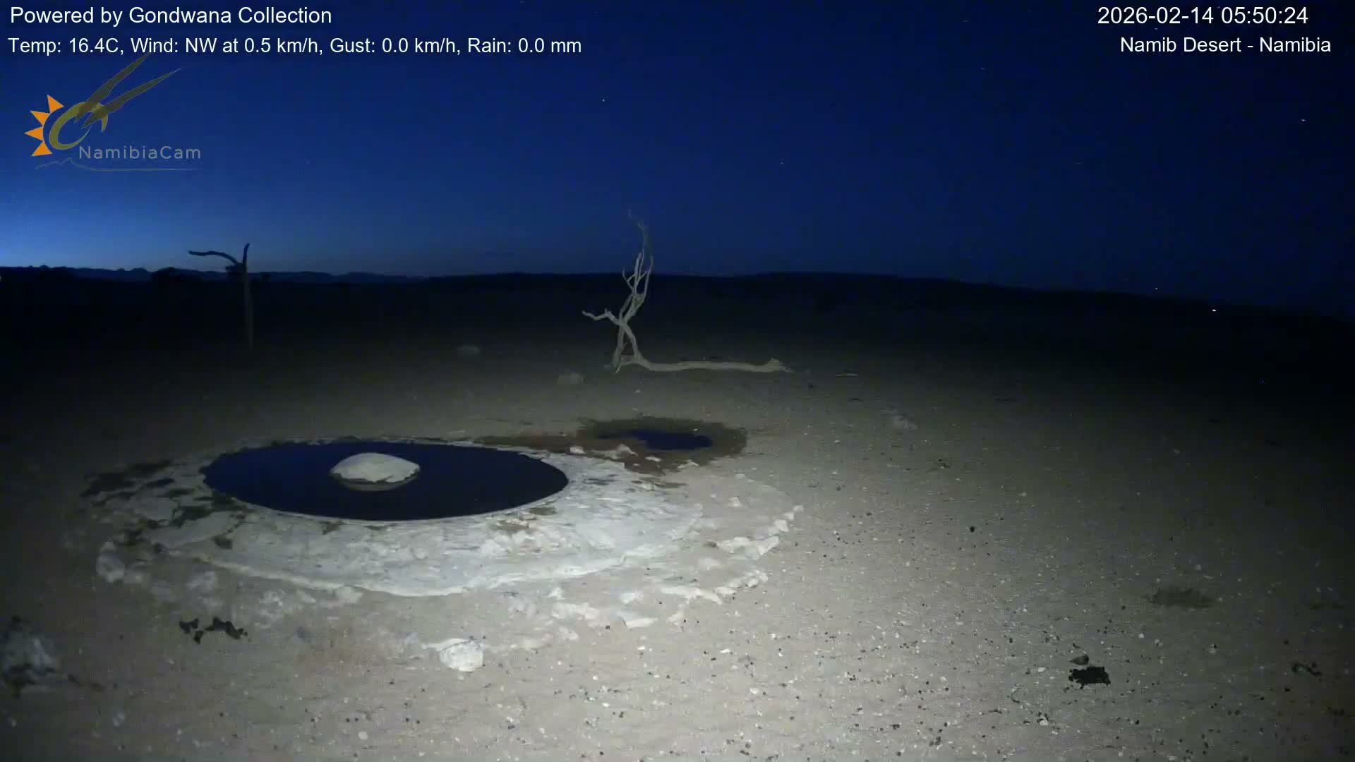 Wild Life in Namib Desert Naukluft National Park Live Cam - Maltahohe, Hardap,  Namibia