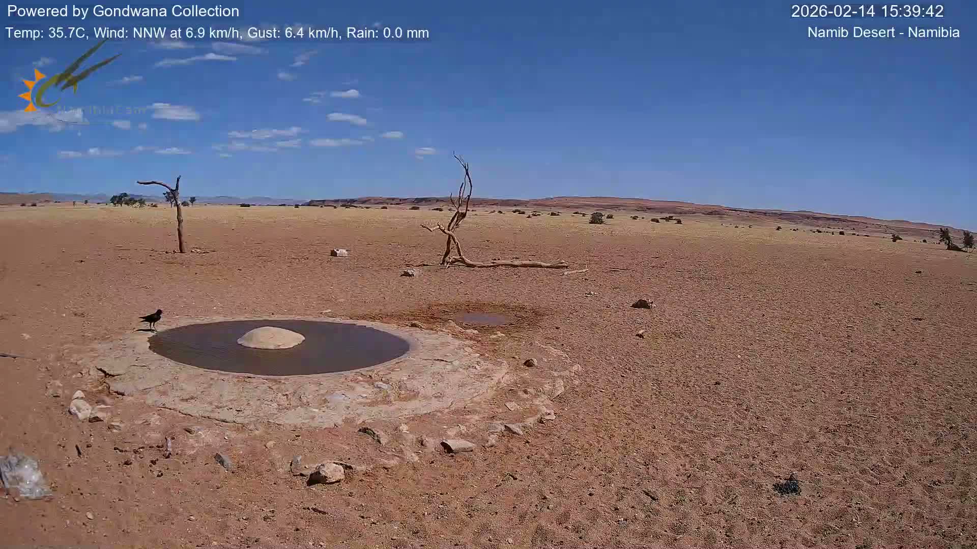 Wild Life in Namib Desert Naukluft National Park Live Cam - Maltahohe, Hardap,  Namibia
