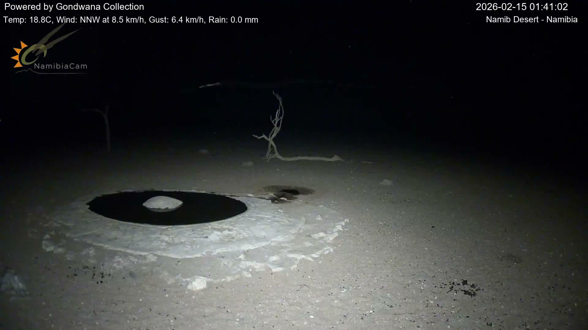 Wild Life in Namib Desert Naukluft National Park Live Cam - Maltahohe, Hardap,  Namibia