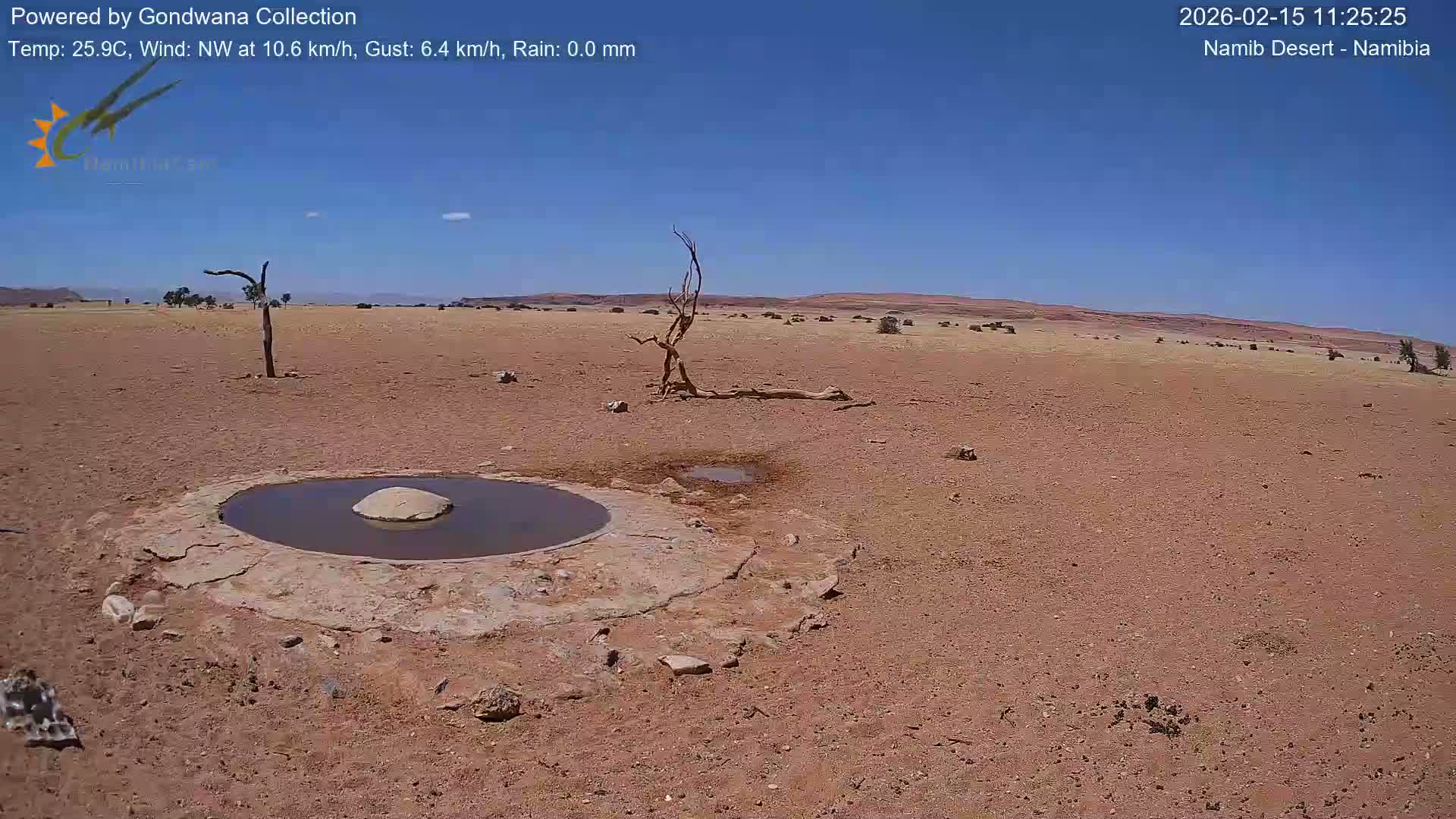 Wild Life in Namib Desert Naukluft National Park Live Cam - Maltahohe, Hardap,  Namibia