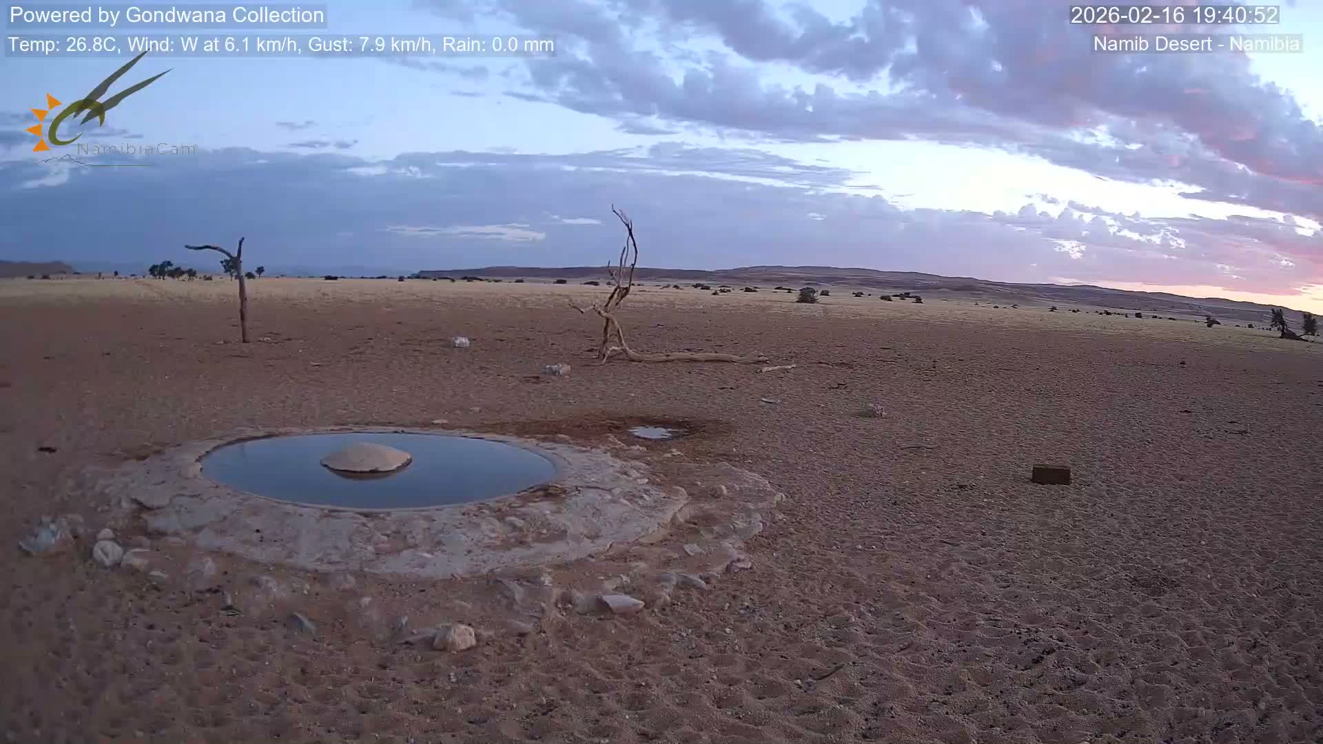 Wild Life in Namib Desert Naukluft National Park Live Cam - Maltahohe, Hardap,  Namibia