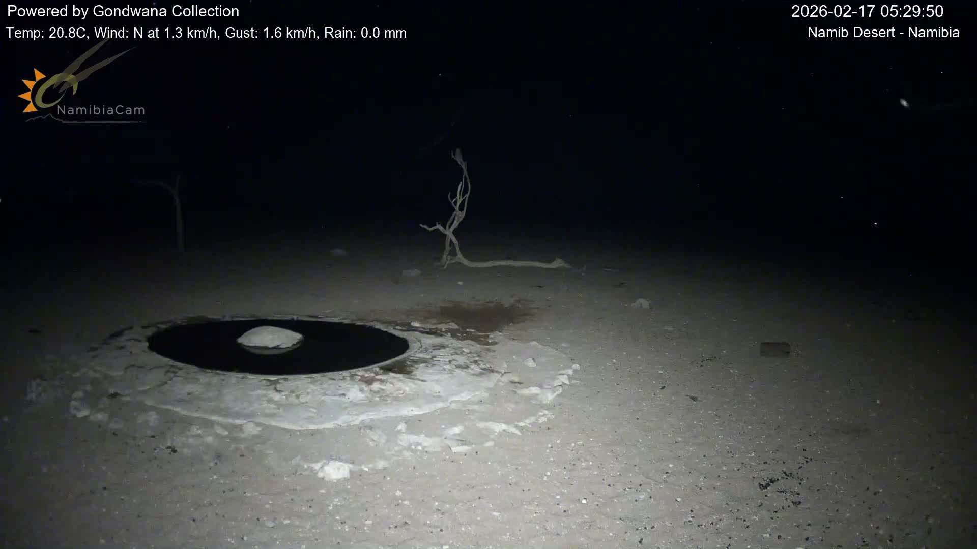 Wild Life in Namib Desert Naukluft National Park Live Cam - Maltahohe, Hardap,  Namibia