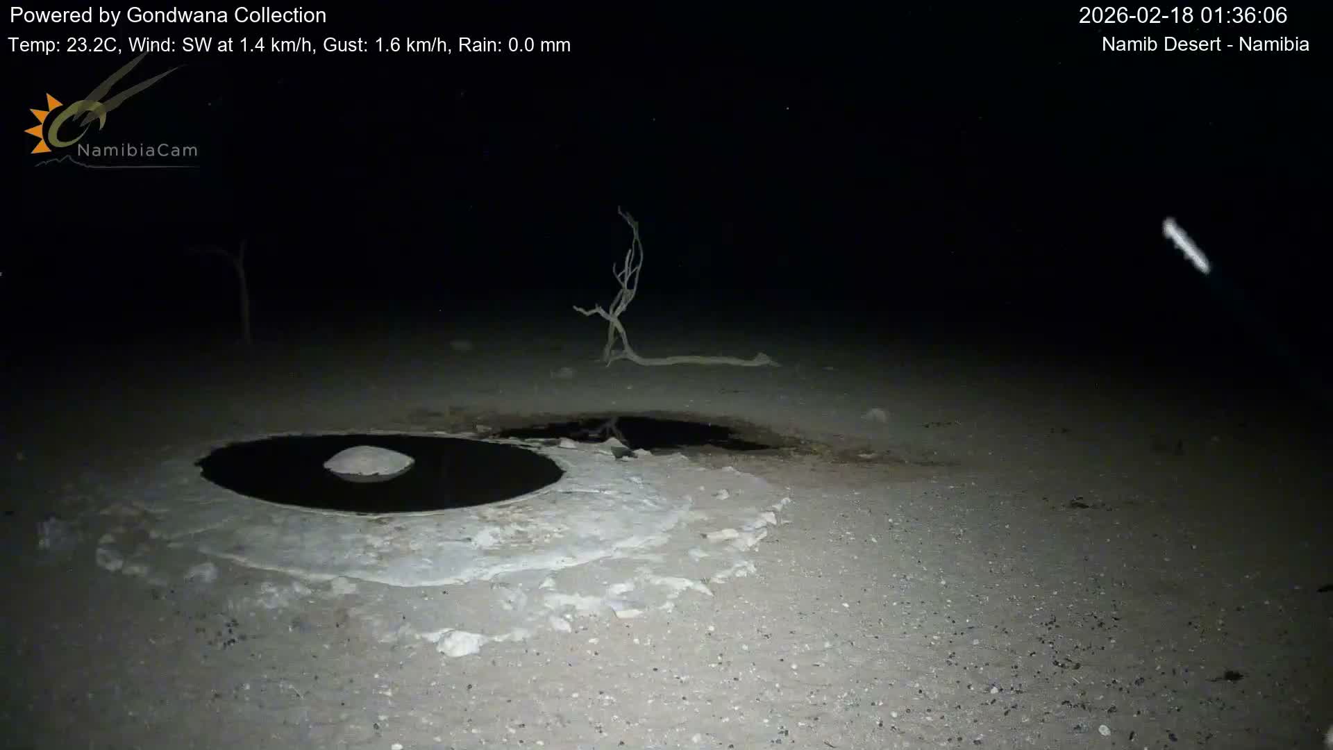 Wild Life in Namib Desert Naukluft National Park Live Cam - Maltahohe, Hardap,  Namibia
