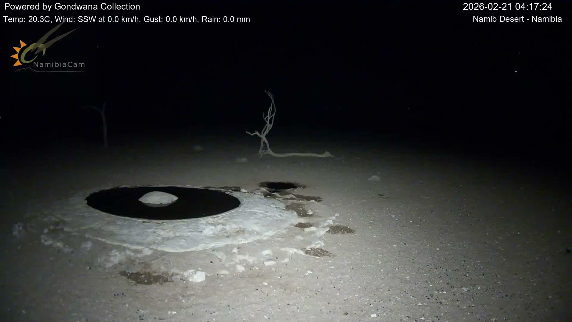 Wild Life in Namib Desert Naukluft National Park Live Cam - Maltahohe, Hardap,  Namibia