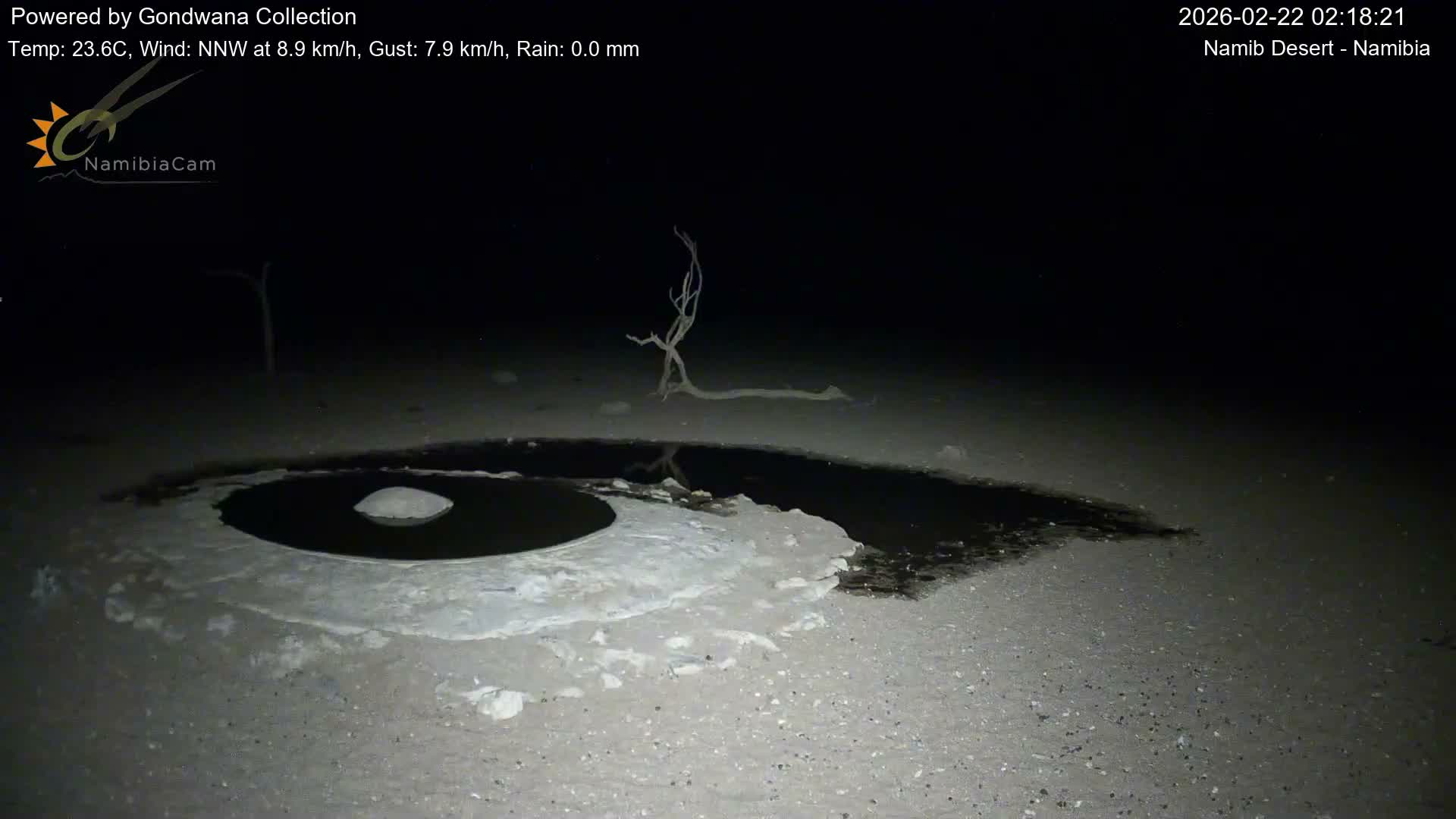 Wild Life in Namib Desert Naukluft National Park Live Cam - Maltahohe, Hardap,  Namibia