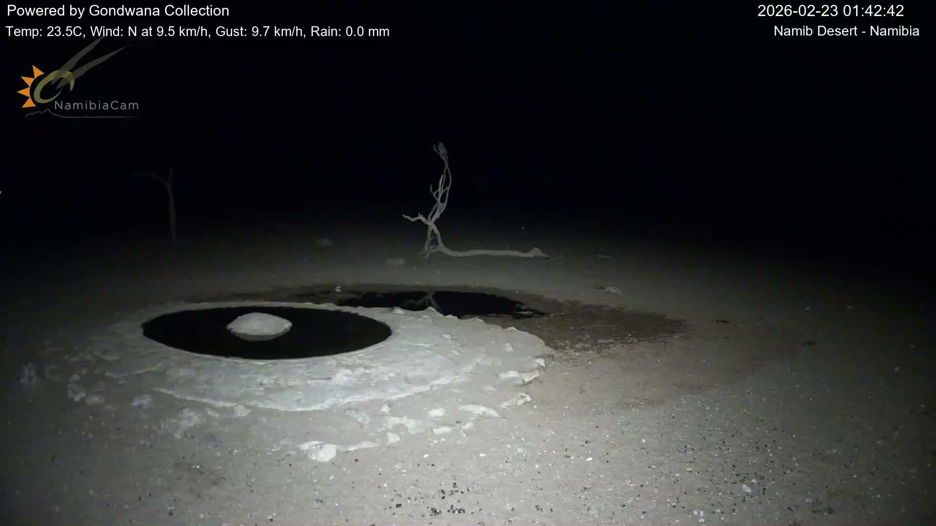 Wild Life in Namib Desert Naukluft National Park Live Cam - Maltahohe, Hardap,  Namibia