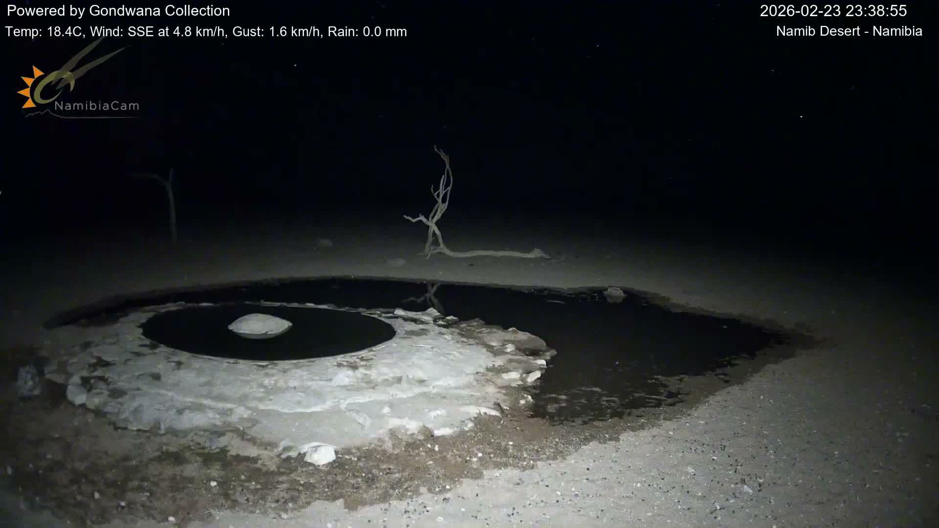 Wild Life in Namib Desert Naukluft National Park Live Cam - Maltahohe, Hardap,  Namibia