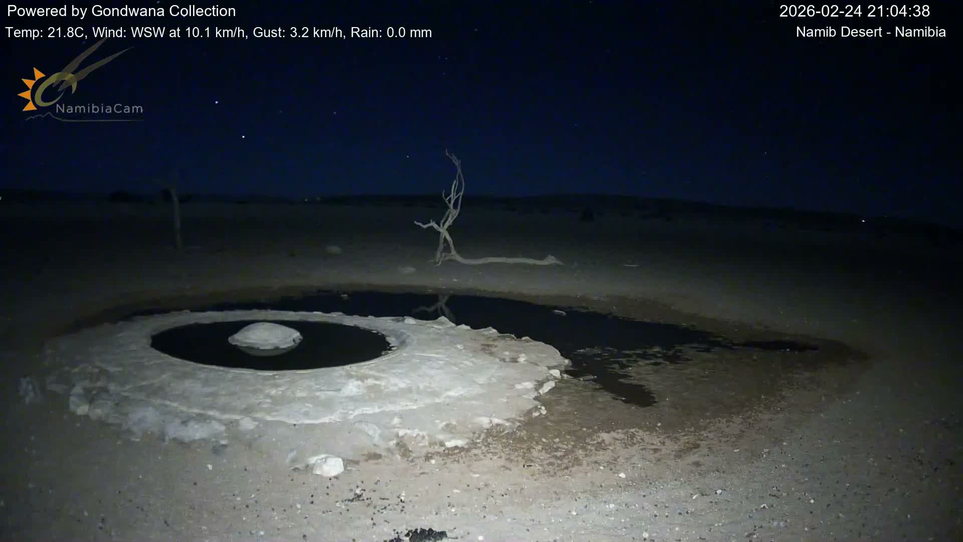 Wild Life in Namib Desert Naukluft National Park Live Cam - Maltahohe, Hardap,  Namibia