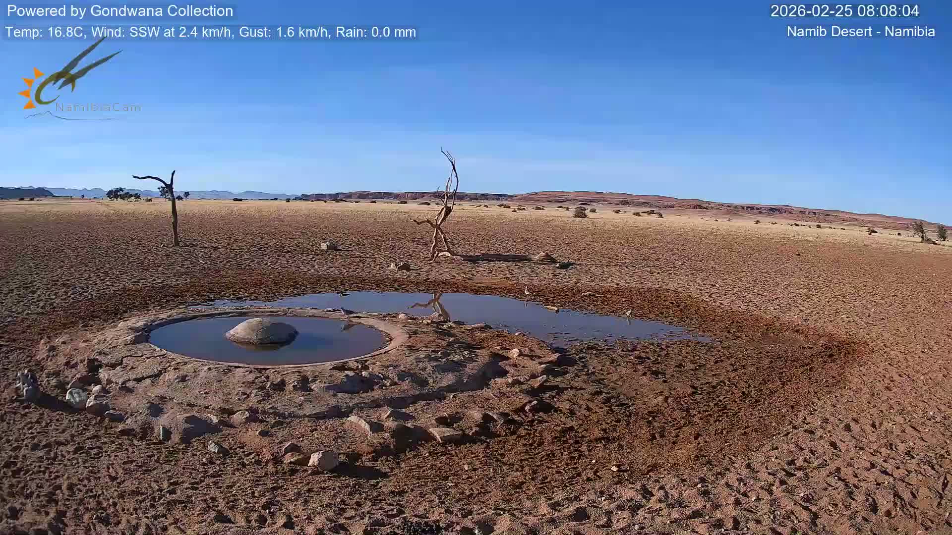 Wild Life in Namib Desert Naukluft National Park Live Cam - Maltahohe, Hardap,  Namibia