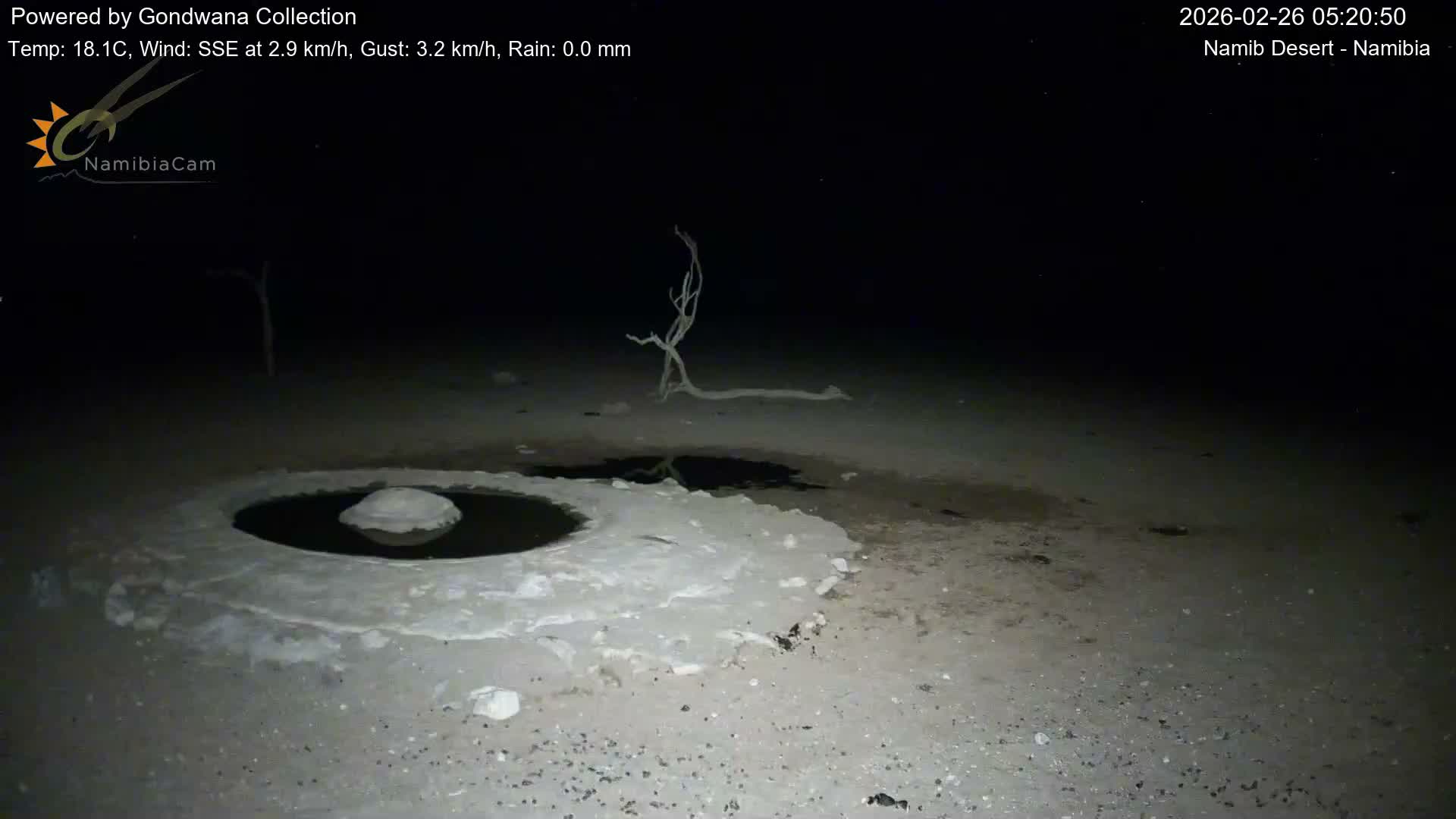 Wild Life in Namib Desert Naukluft National Park Live Cam - Maltahohe, Hardap,  Namibia