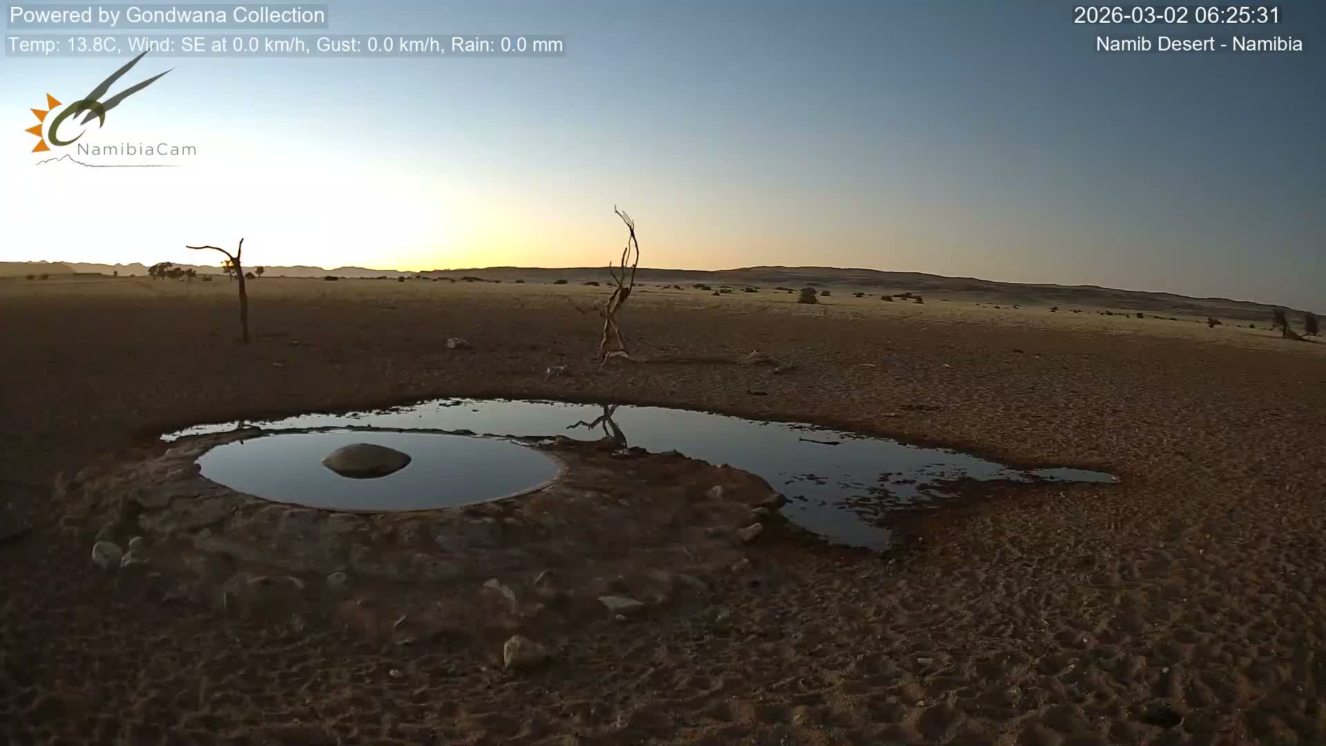 Wild Life in Namib Desert Naukluft National Park Live Cam - Maltahohe, Hardap,  Namibia