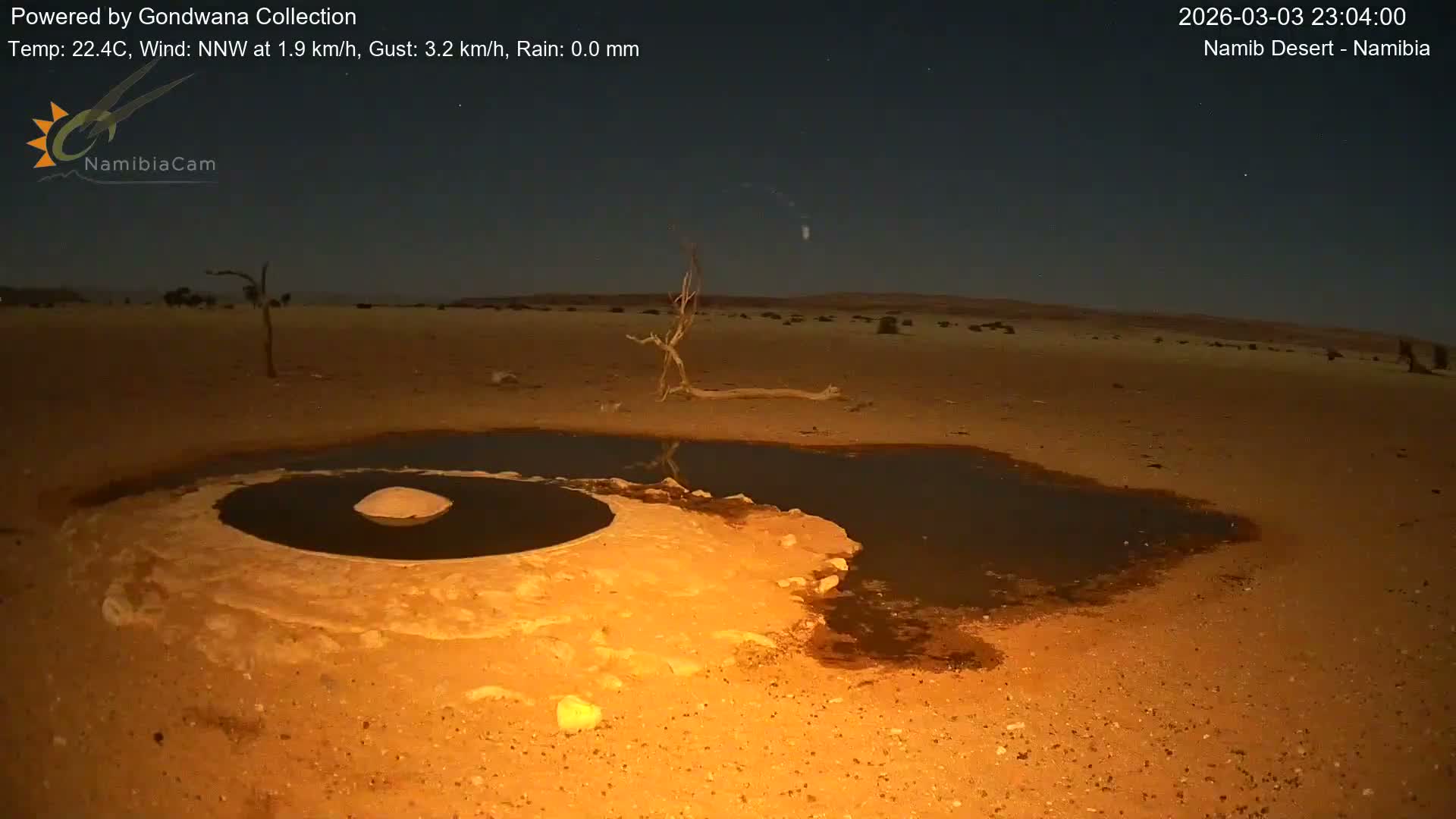 Wild Life in Namib Desert Naukluft National Park Live Cam - Maltahohe, Hardap,  Namibia