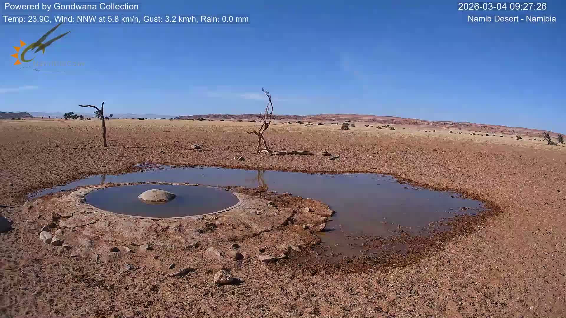 Wild Life in Namib Desert Naukluft National Park Live Cam - Maltahohe, Hardap,  Namibia