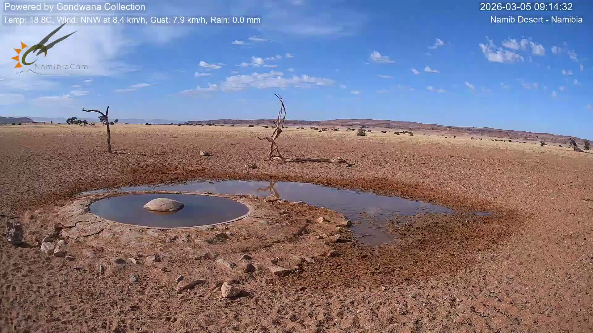 Wild Life in Namib Desert Naukluft National Park Live Cam - Maltahohe, Hardap,  Namibia
