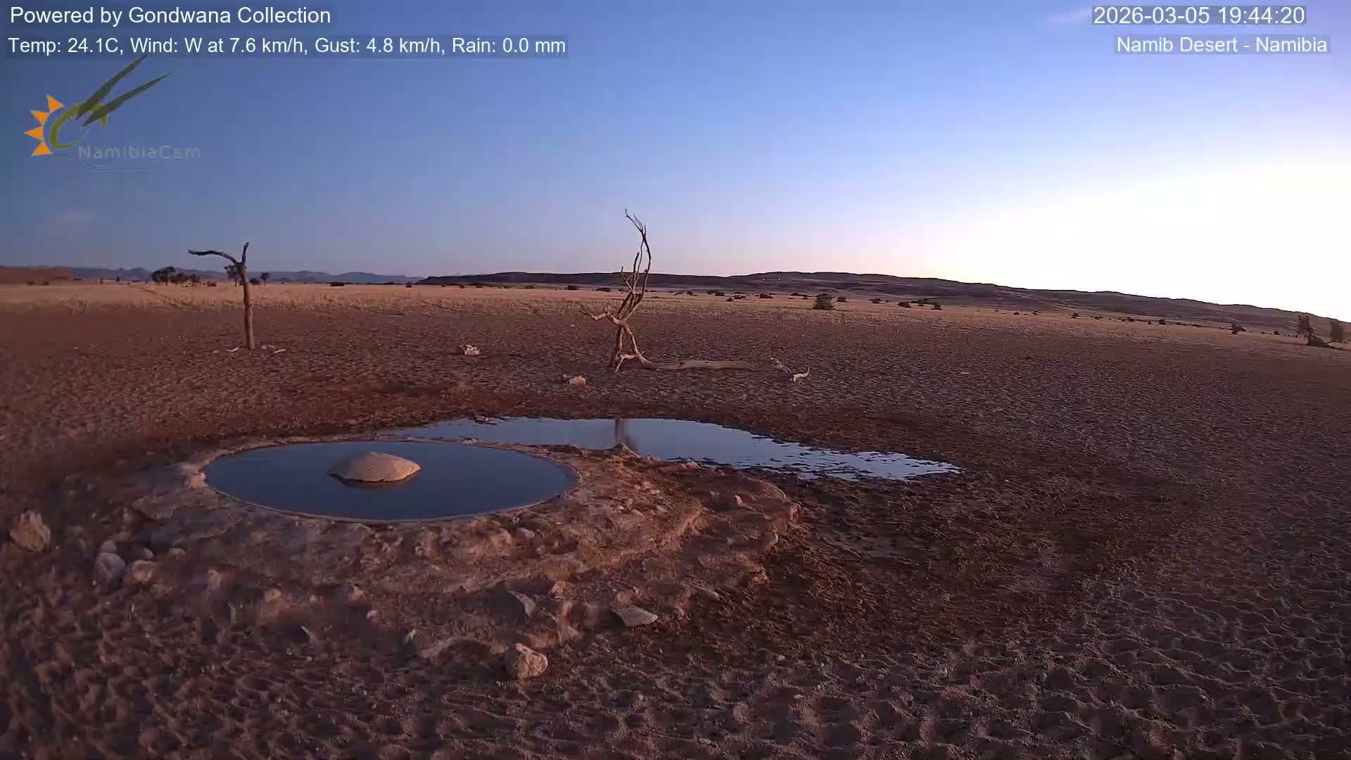 Wild Life in Namib Desert Naukluft National Park Live Cam - Maltahohe, Hardap,  Namibia