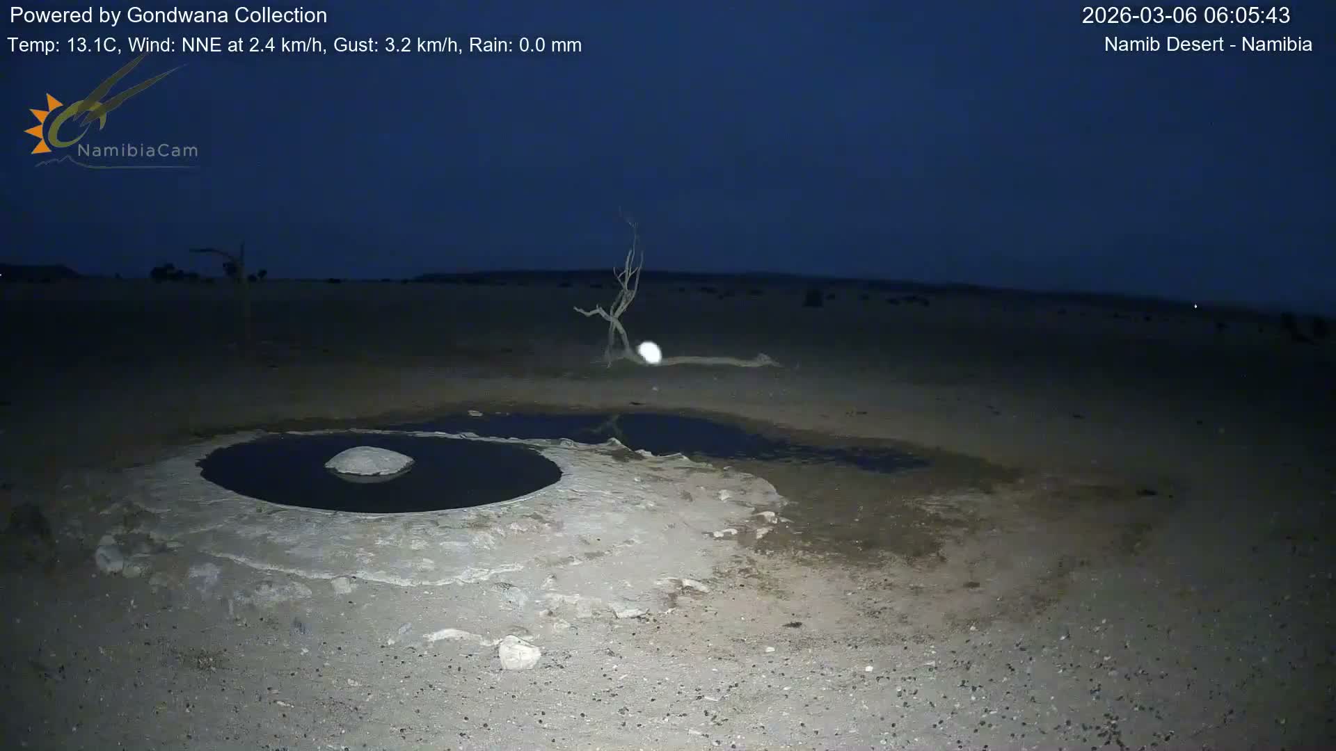 Wild Life in Namib Desert Naukluft National Park Live Cam - Maltahohe, Hardap,  Namibia