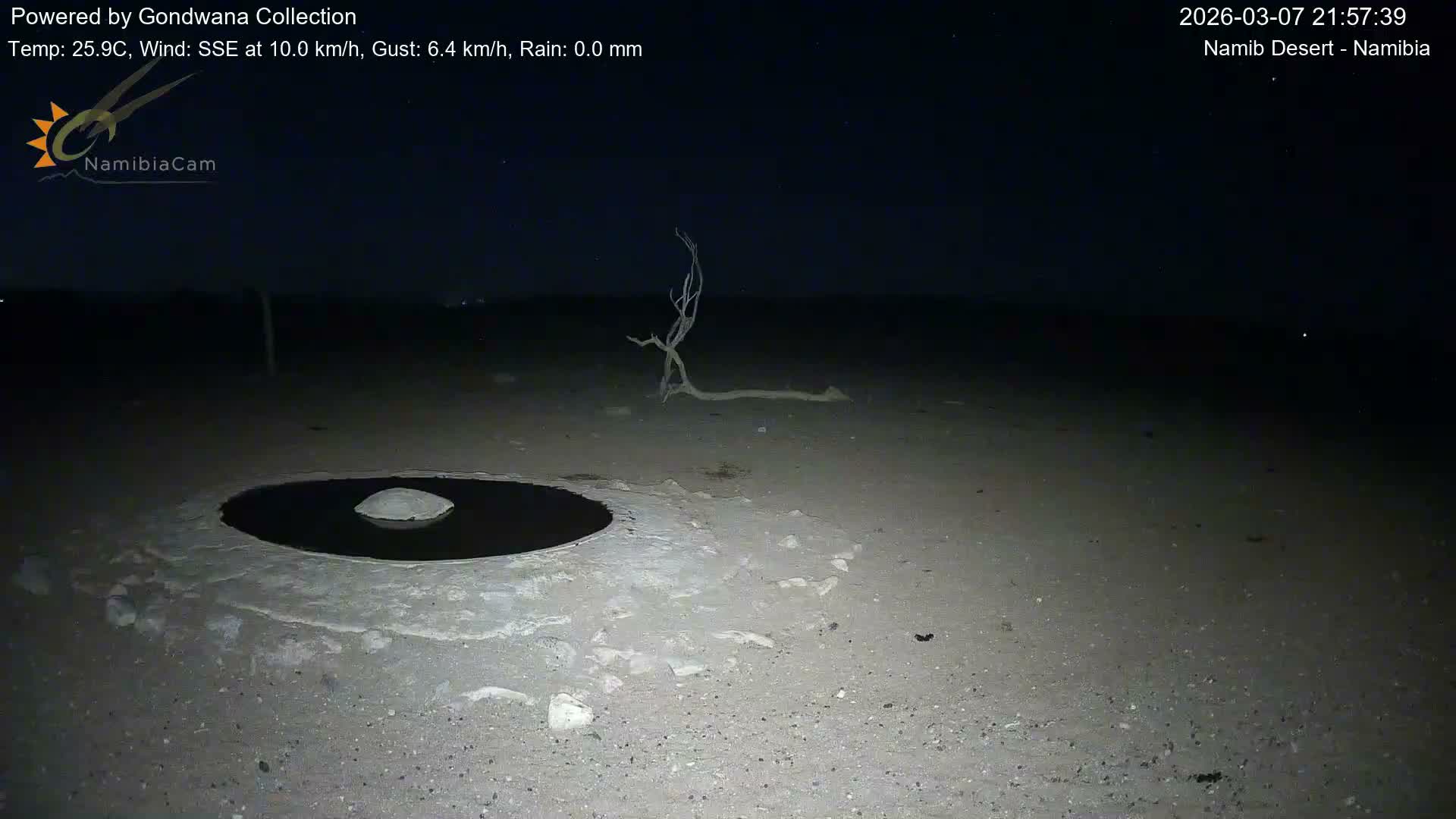 Wild Life in Namib Desert Naukluft National Park Live Cam - Maltahohe, Hardap,  Namibia