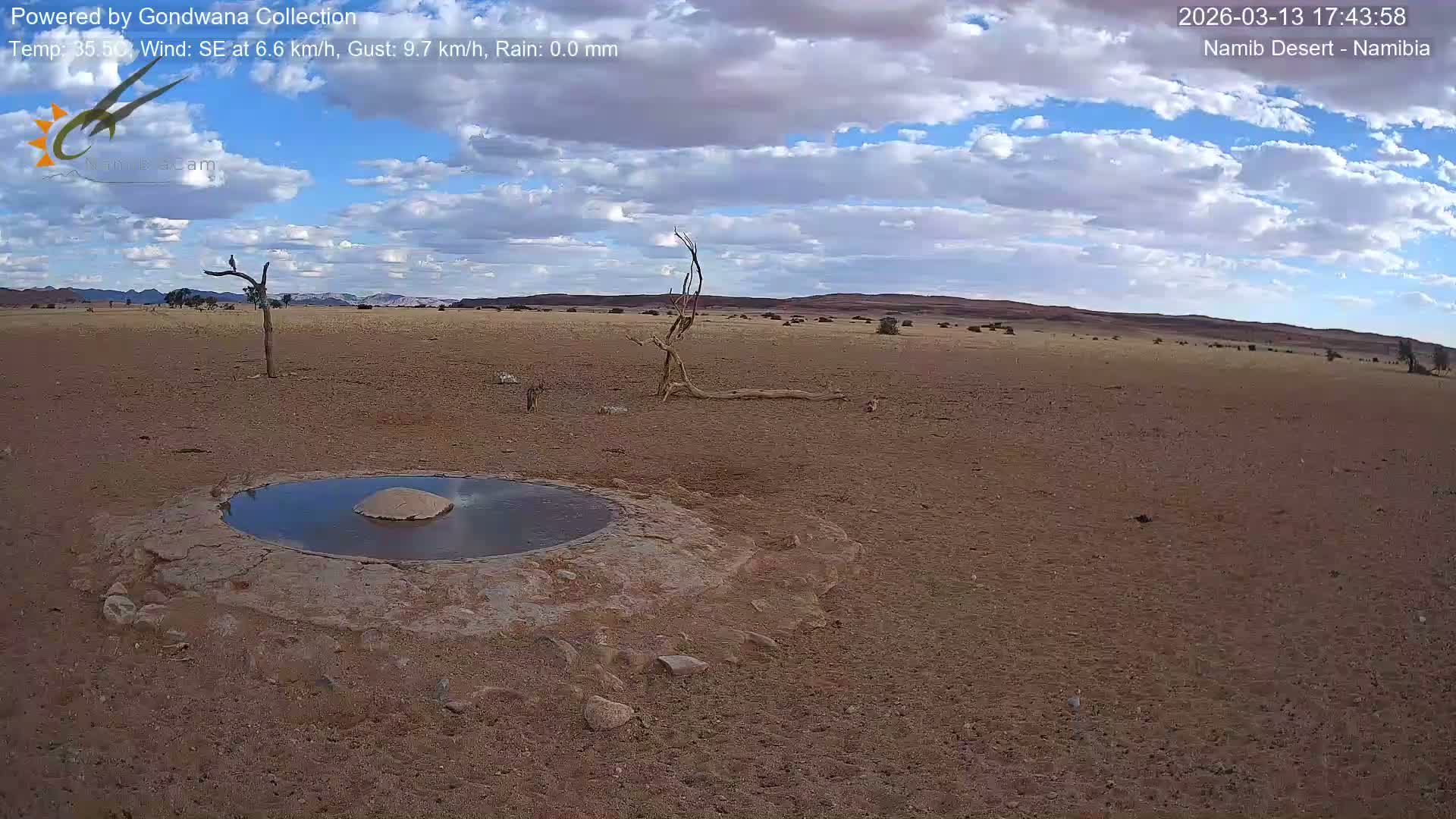 Wild Life in Namib Desert Naukluft National Park Live Cam - Maltahohe, Hardap,  Namibia