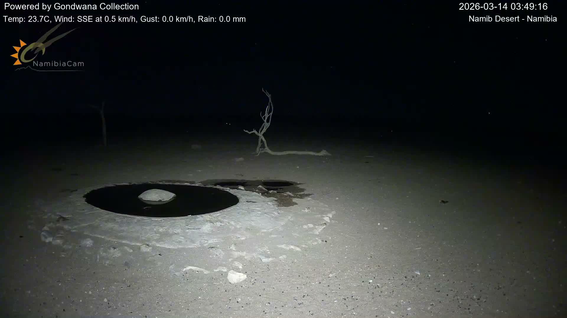 Wild Life in Namib Desert Naukluft National Park Live Cam - Maltahohe, Hardap,  Namibia