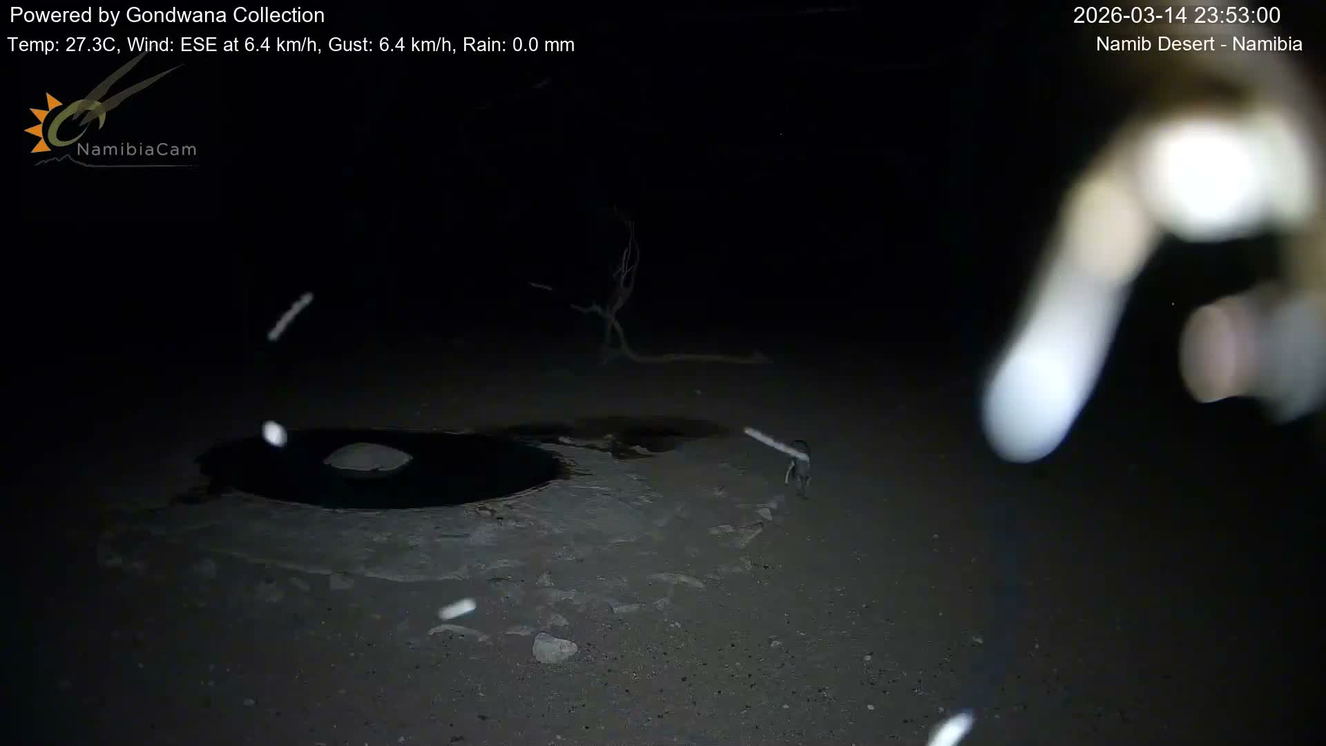 Wild Life in Namib Desert Naukluft National Park Live Cam - Maltahohe, Hardap,  Namibia