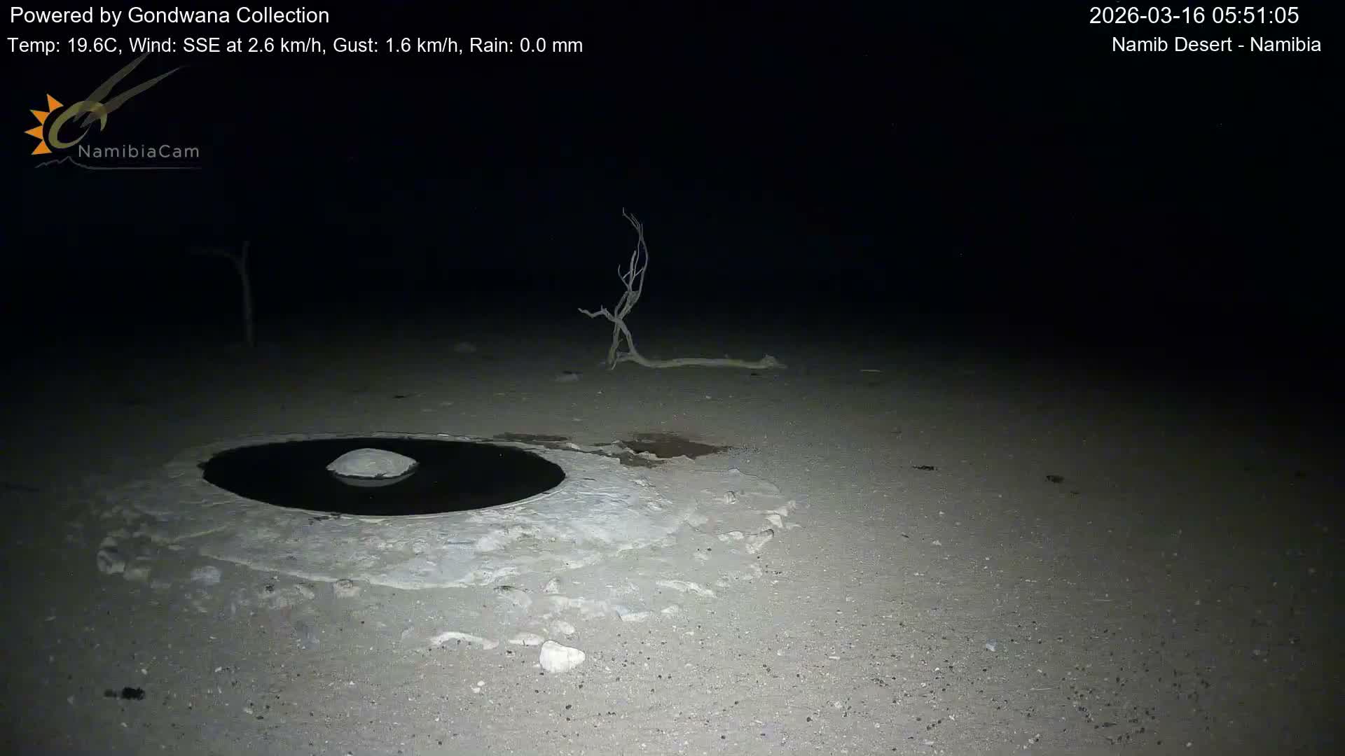 Wild Life in Namib Desert Naukluft National Park Live Cam - Maltahohe, Hardap,  Namibia