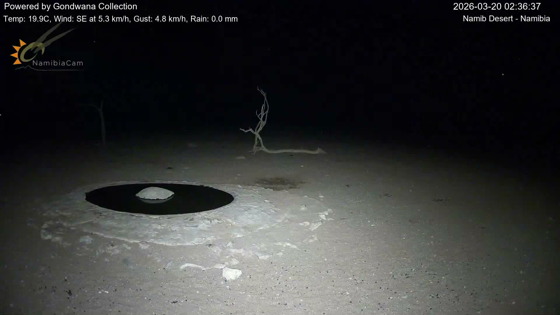 Wild Life in Namib Desert Naukluft National Park Live Cam - Maltahohe, Hardap,  Namibia