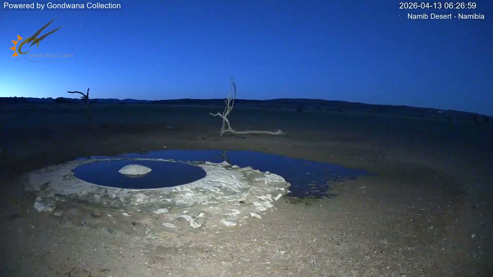 Wild Life in Namib Desert Naukluft National Park Live Cam - Maltahohe, Hardap,  Namibia