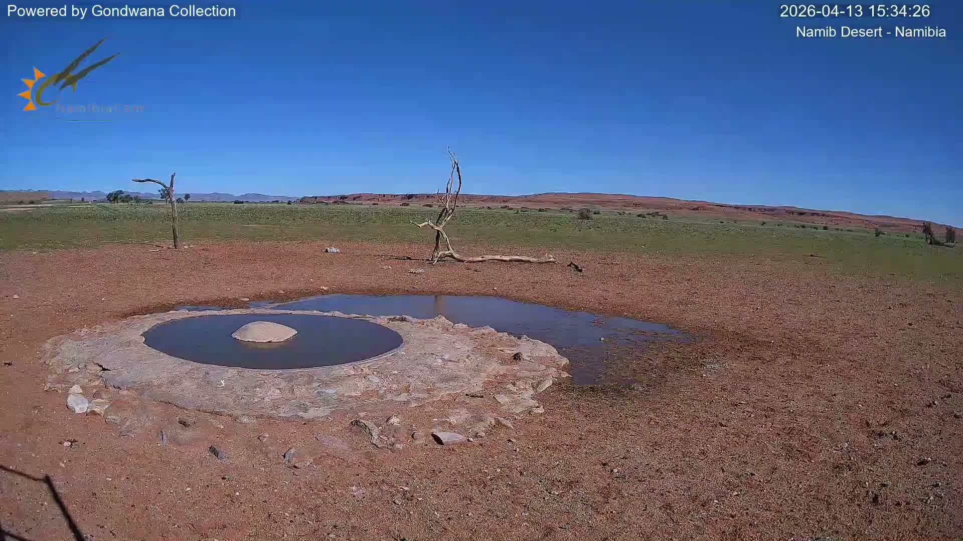 A circular waterhole with a rock in its center sits in a vast, arid landscape of reddish-brown earth and sparse, dry vegetation, featuring several gnarled dead trees under a clear, sunny blue sky.