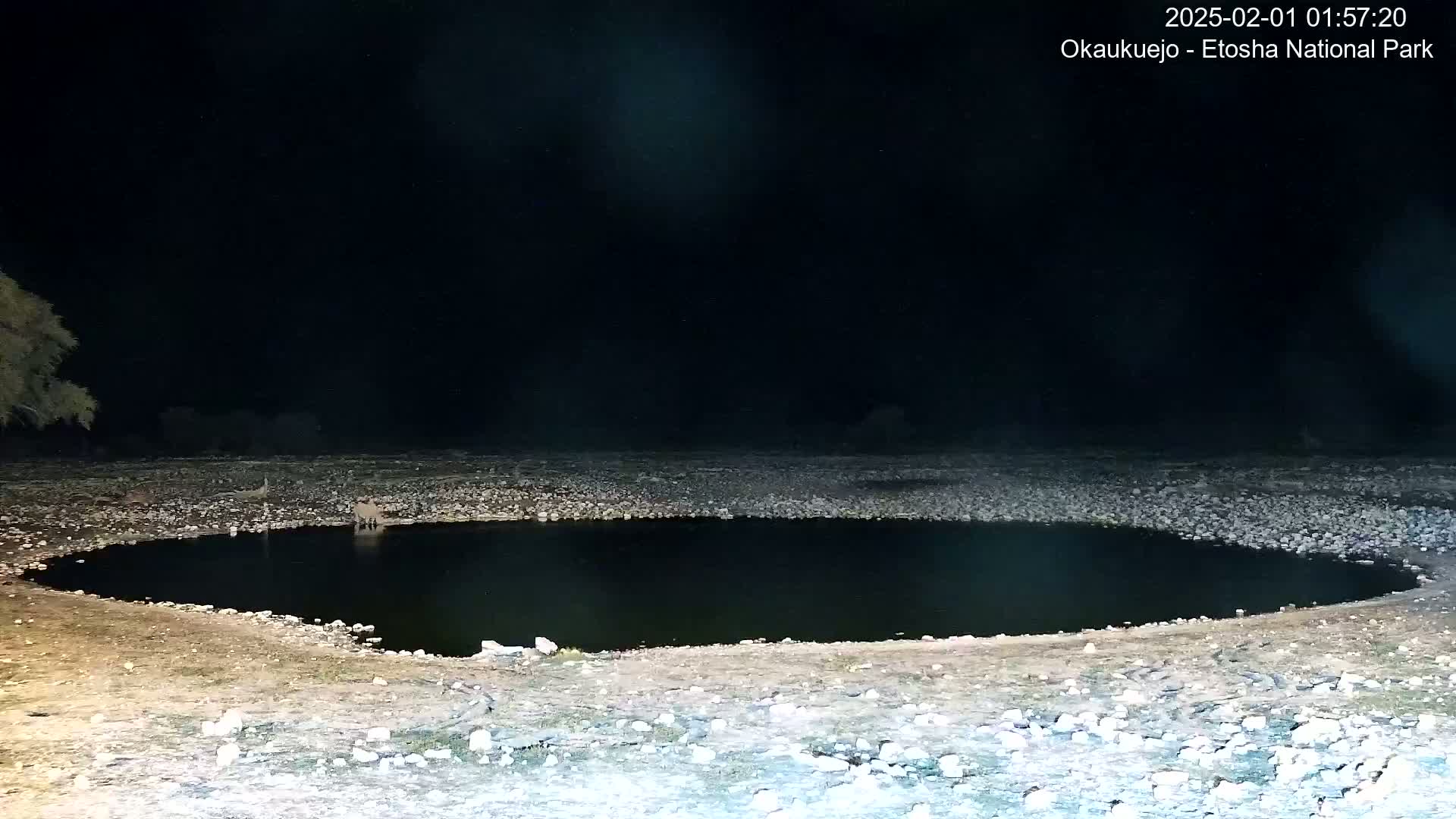 A dark, circular watering hole sits in a rocky, arid landscape at night.