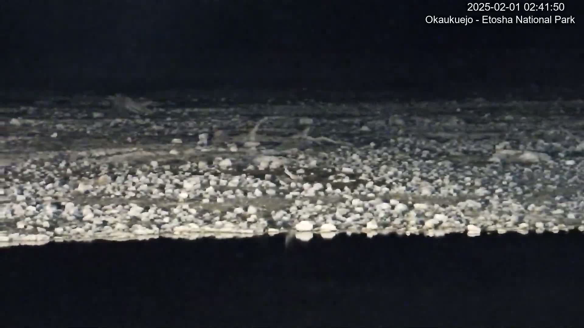 A nighttime, ground-level view shows a large expanse of light-colored pebbles and small rocks covering the ground.