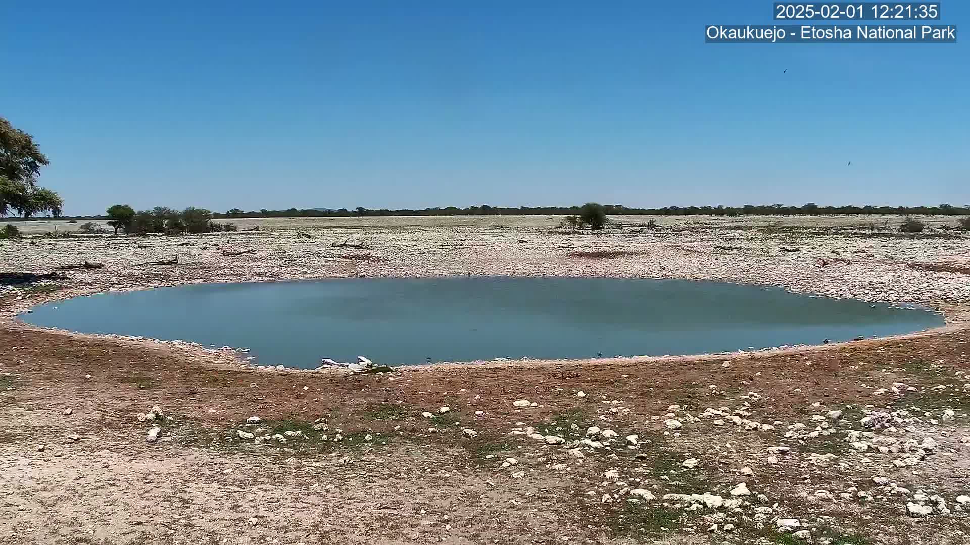 A small, still body of water sits in a rocky, dry landscape under a clear blue sky.
