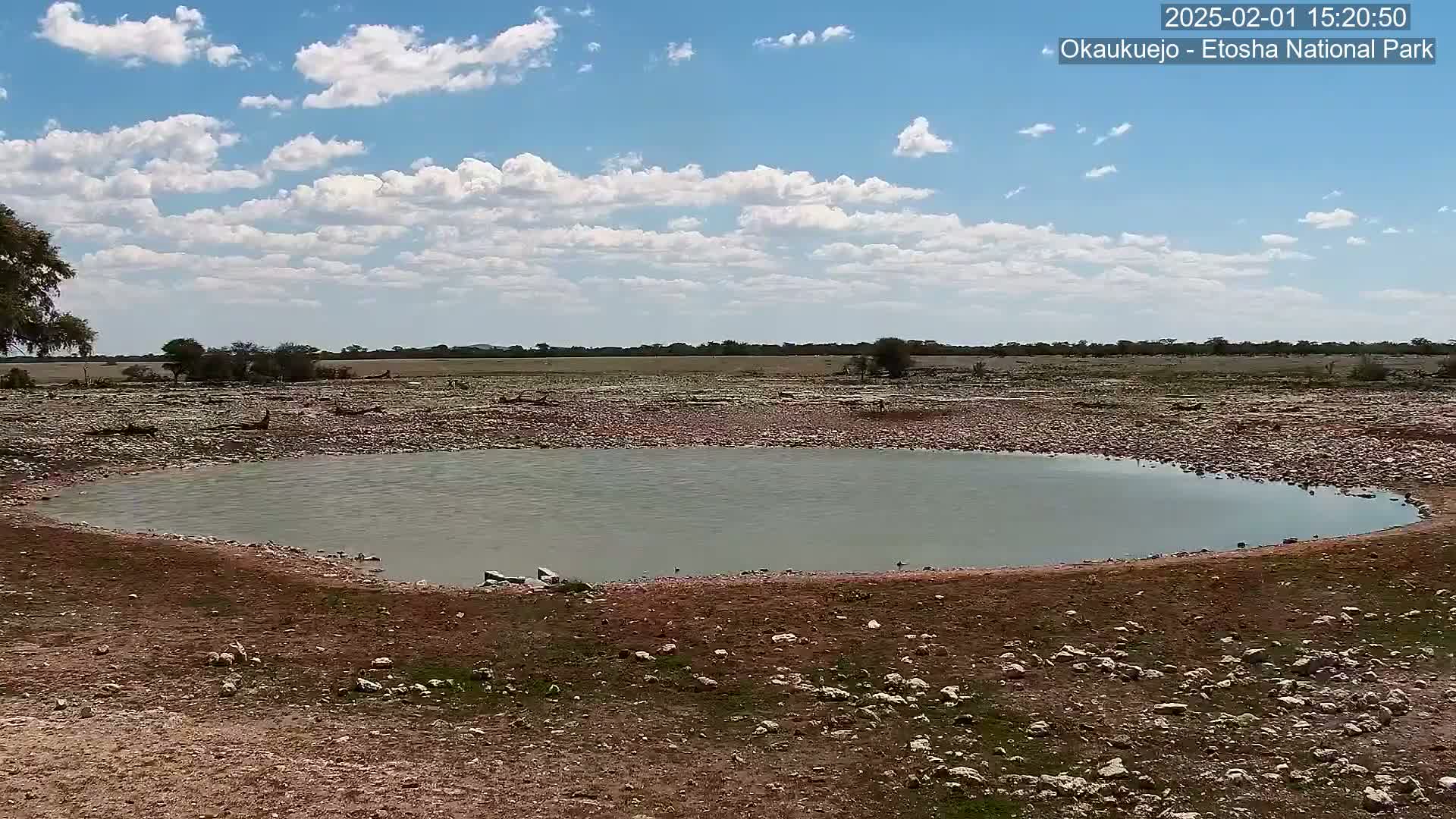 A small, shallow pool of water sits in a rocky, dry landscape under a partly cloudy sky.