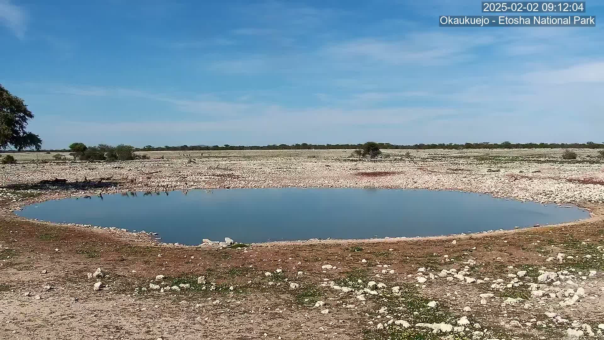 A small, calm body of water sits in a rocky, sparsely vegetated landscape under a clear blue sky.