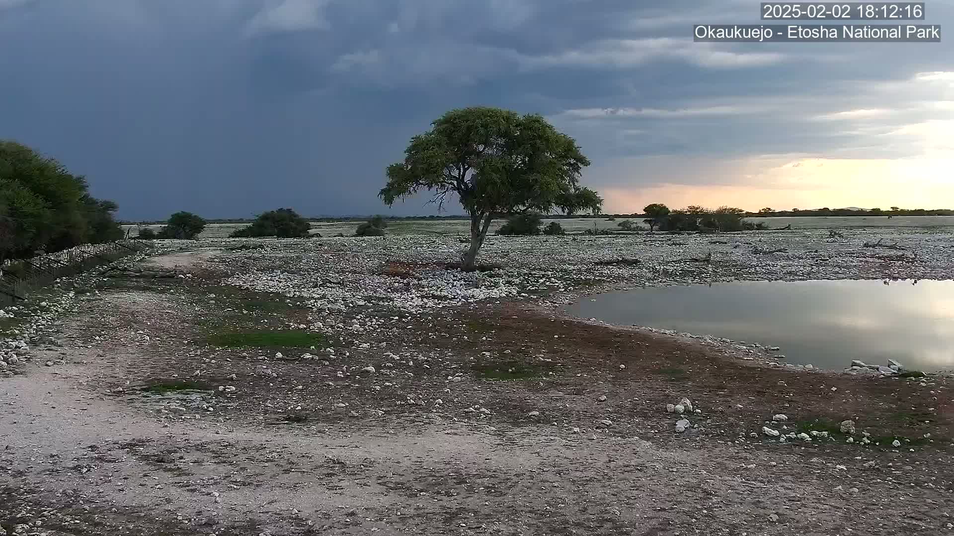 A rocky, flat landscape under a partly cloudy sky shows a small pool of water reflecting the sunset, a single tree, and a dirt road leading into the distance.