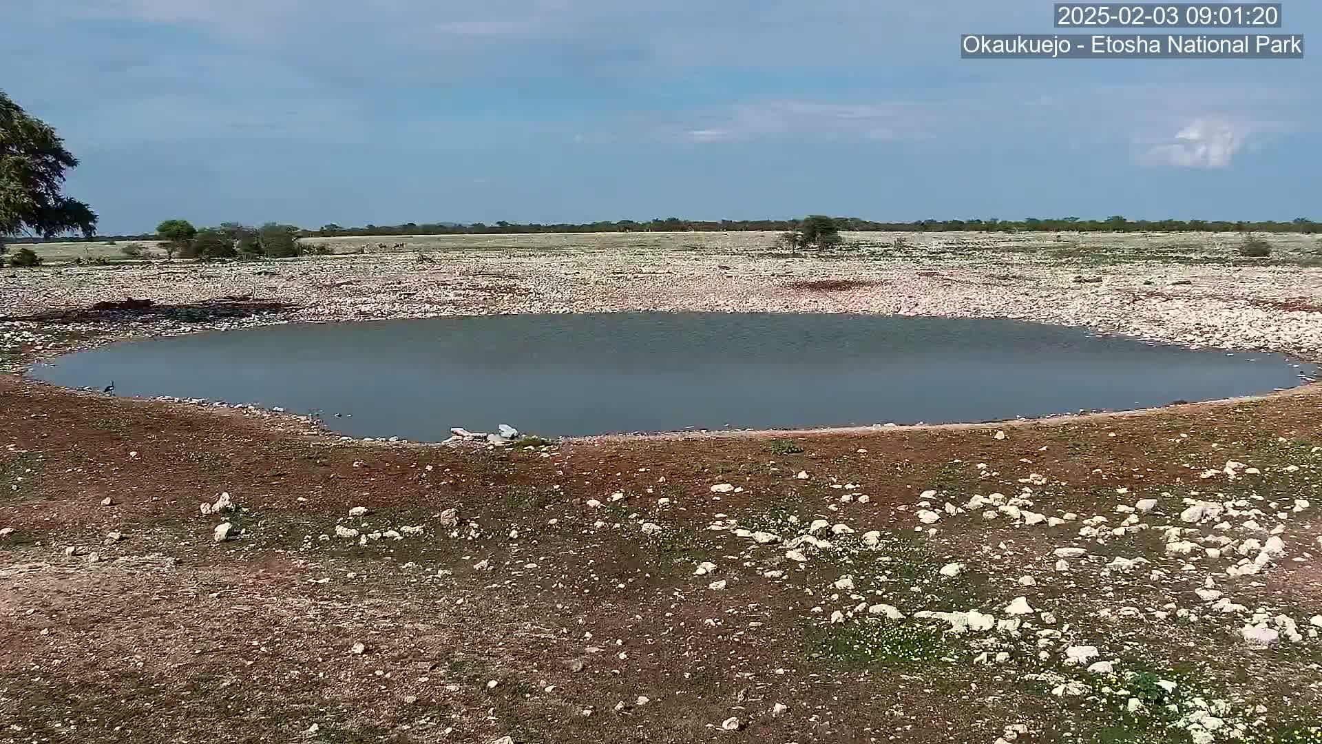 A small, calm body of water sits in a rocky, sparsely vegetated landscape under a mostly clear sky.