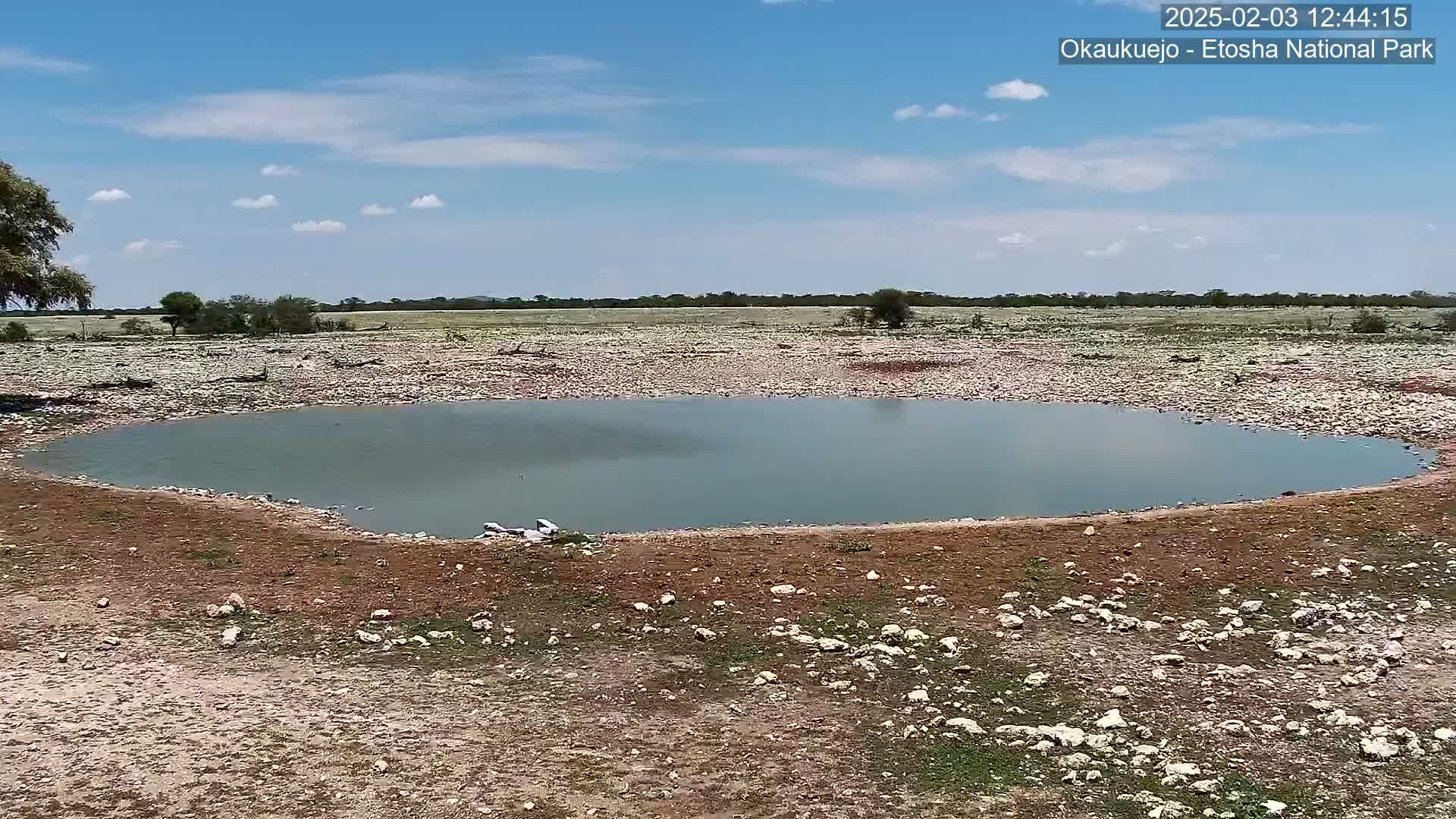 A small, calm body of water sits in a rocky, dry landscape under a mostly sunny sky.