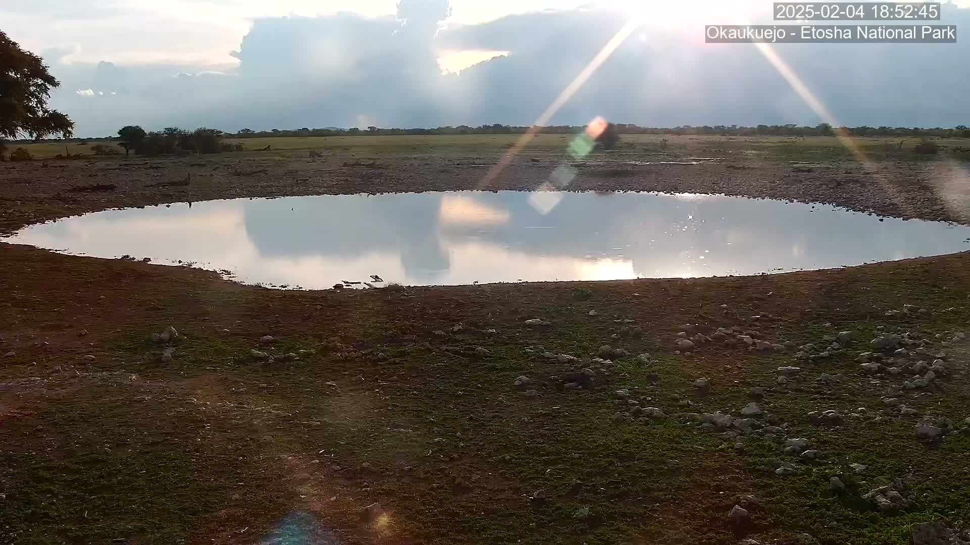 A calm, shallow pool of water reflects a partly cloudy sky under bright sunlight on a dry, rocky plain.