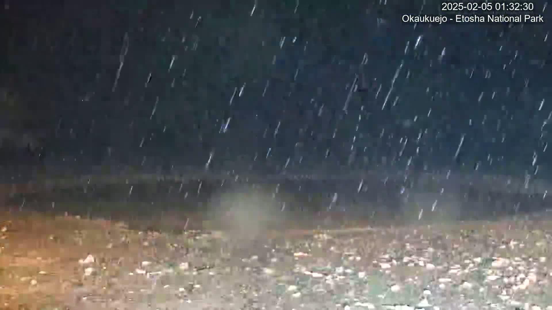 Rain falls at night over a dark, rocky ground.