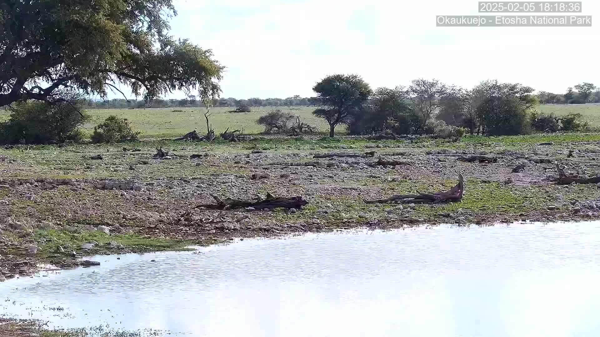 A mostly sunny day in a dry, rocky landscape with scattered trees and shrubs, near a small, calm body of water.