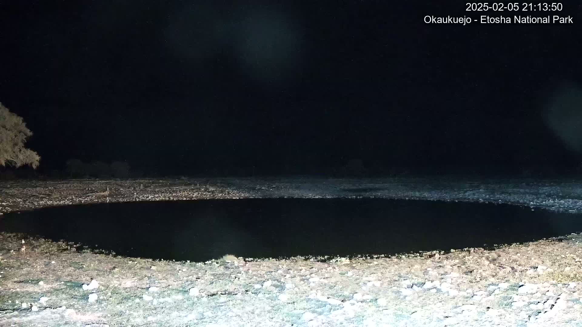 A dark, still body of water is surrounded by light-colored, rocky ground under a nighttime sky.